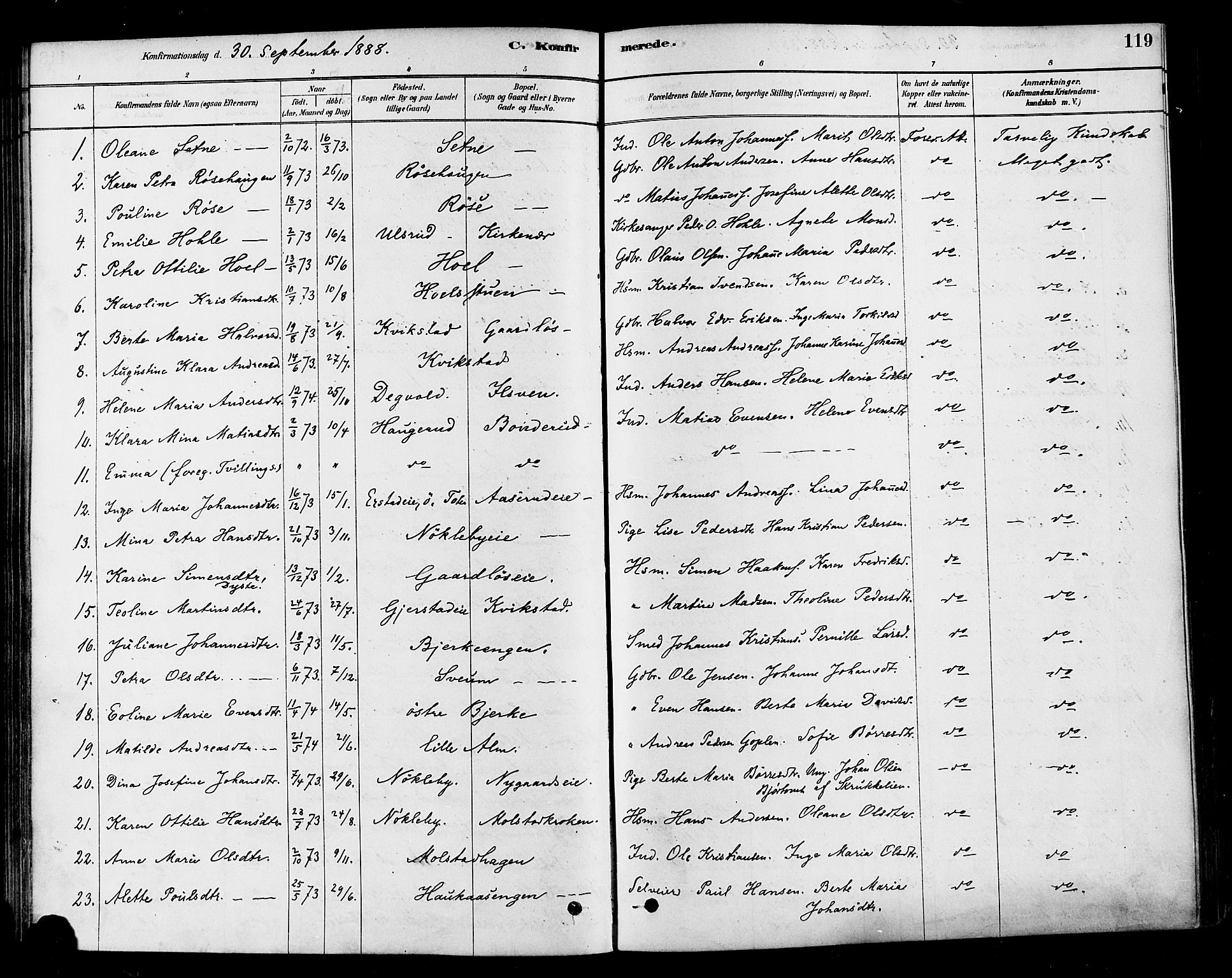 Vestre Toten prestekontor, SAH/PREST-108/H/Ha/Haa/L0010: Parish register (official) no. 10, 1878-1894, p. 119