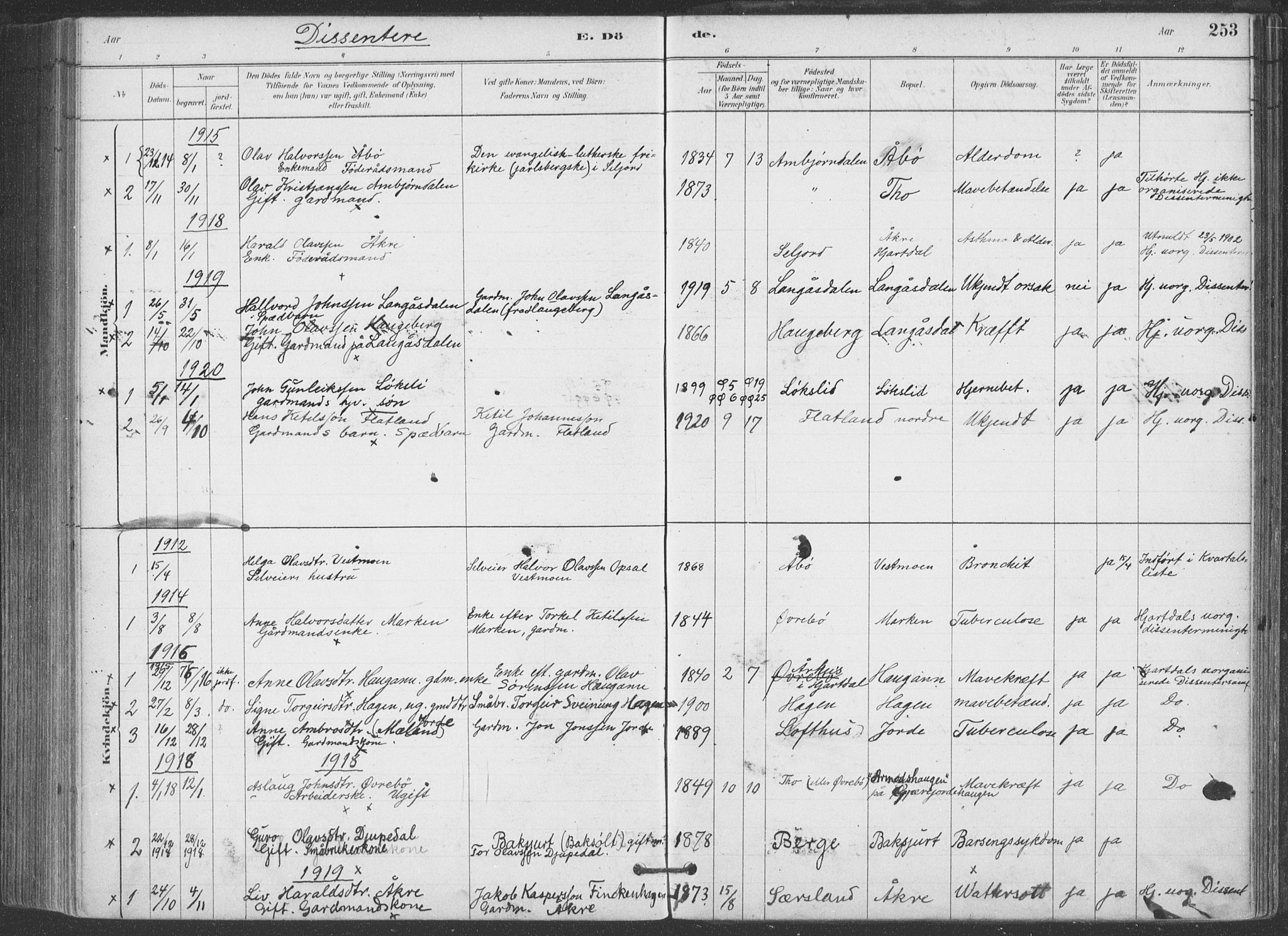 Hjartdal kirkebøker, AV/SAKO-A-270/F/Fa/L0010: Parish register (official) no. I 10, 1880-1929, p. 253