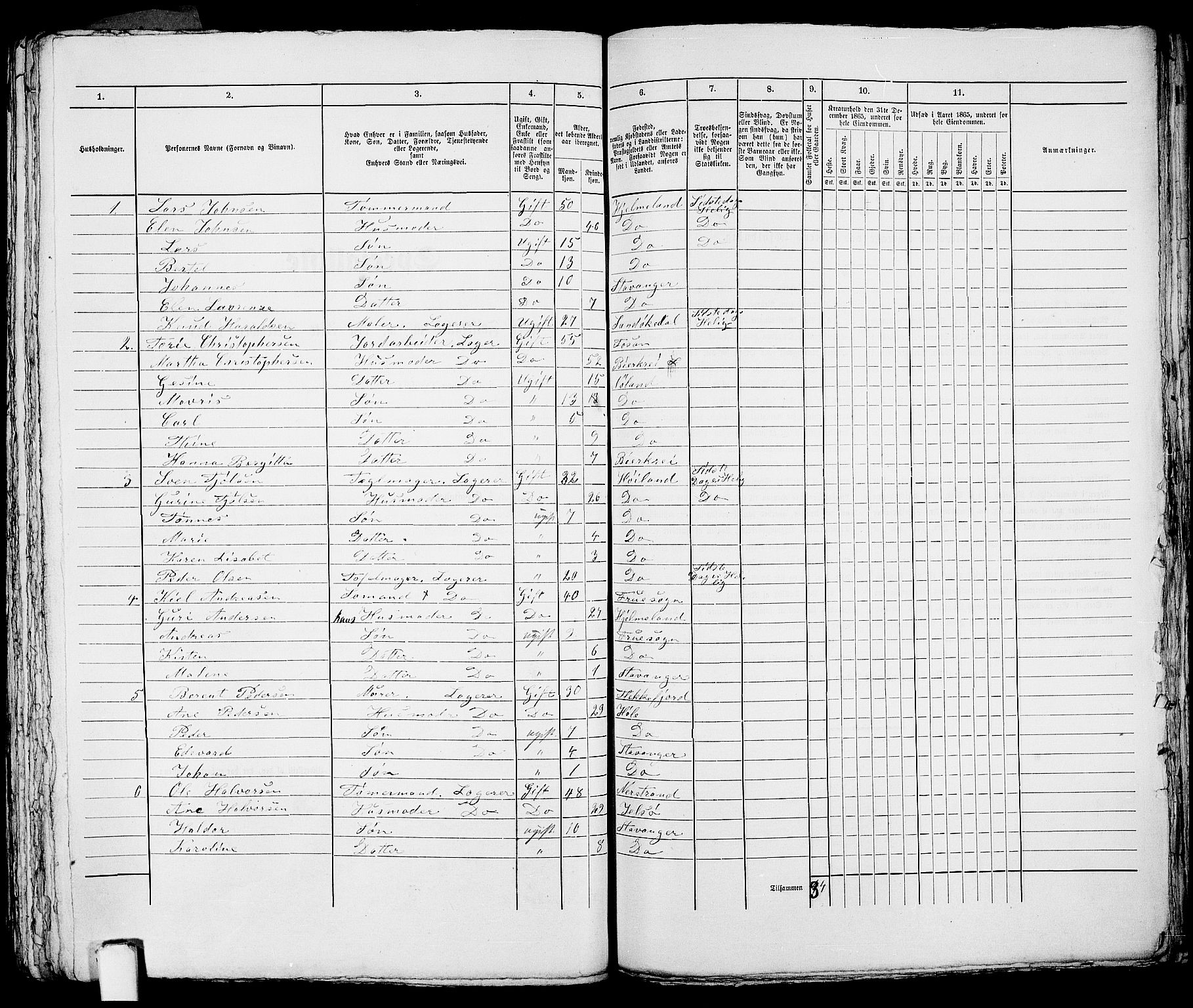 RA, 1865 census for Stavanger, 1865, p. 2917