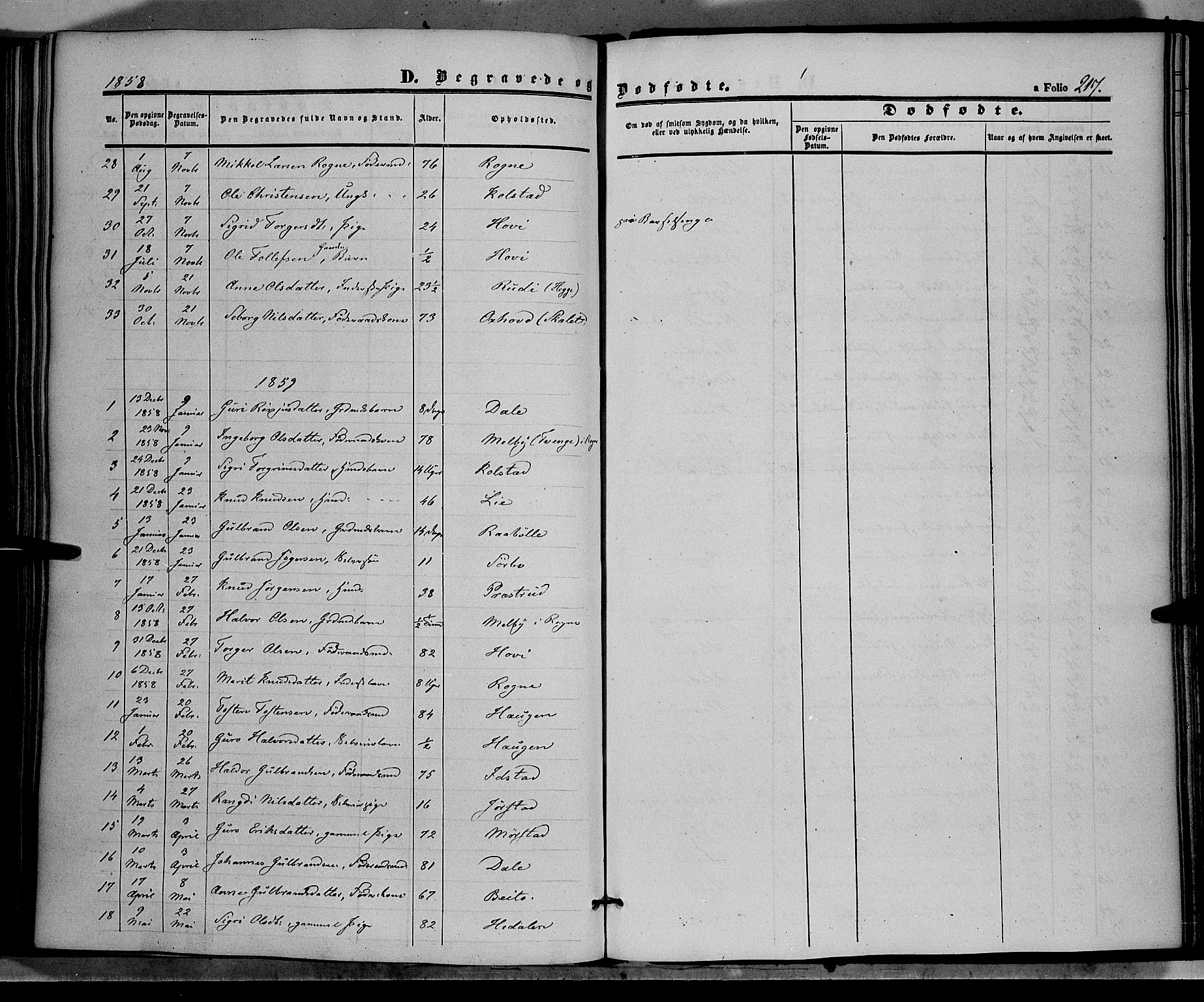 Øystre Slidre prestekontor, SAH/PREST-138/H/Ha/Haa/L0001: Parish register (official) no. 1, 1849-1874, p. 217