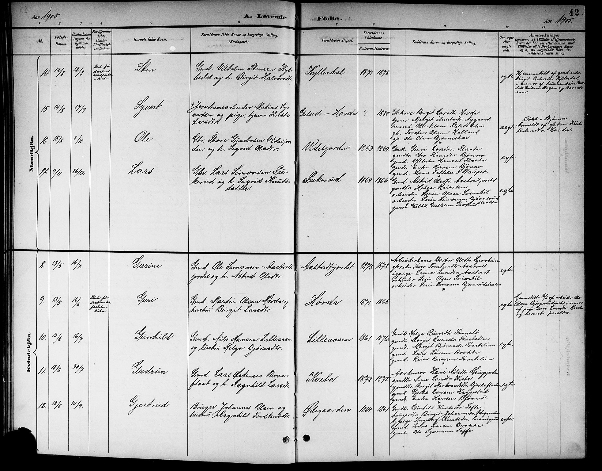 Nore kirkebøker, AV/SAKO-A-238/G/Gb/L0003: Parish register (copy) no. II 3, 1894-1923, p. 42