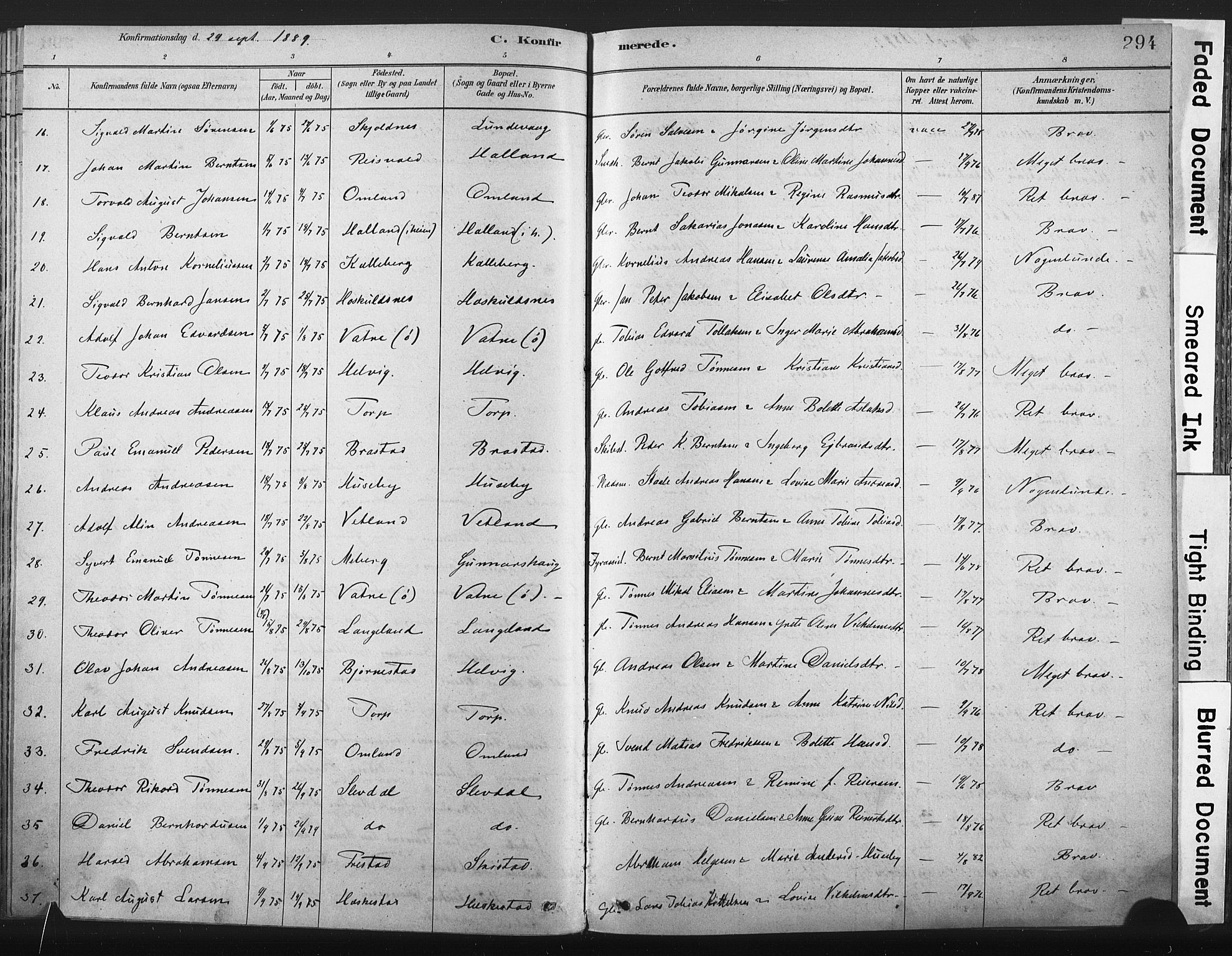 Lista sokneprestkontor, AV/SAK-1111-0027/F/Fa/L0012: Parish register (official) no. A 12, 1879-1903, p. 294