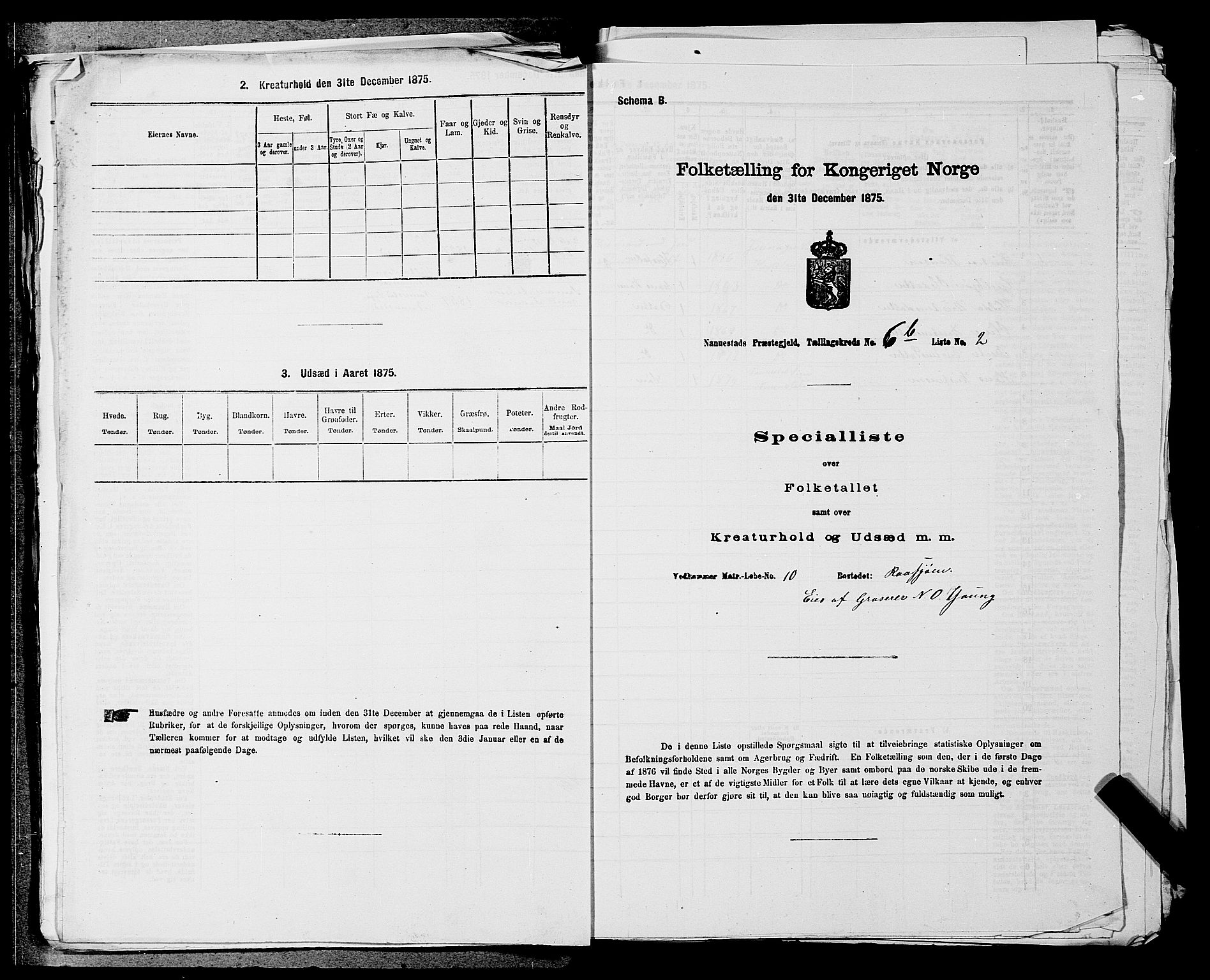 RA, 1875 census for 0238P Nannestad, 1875, p. 993