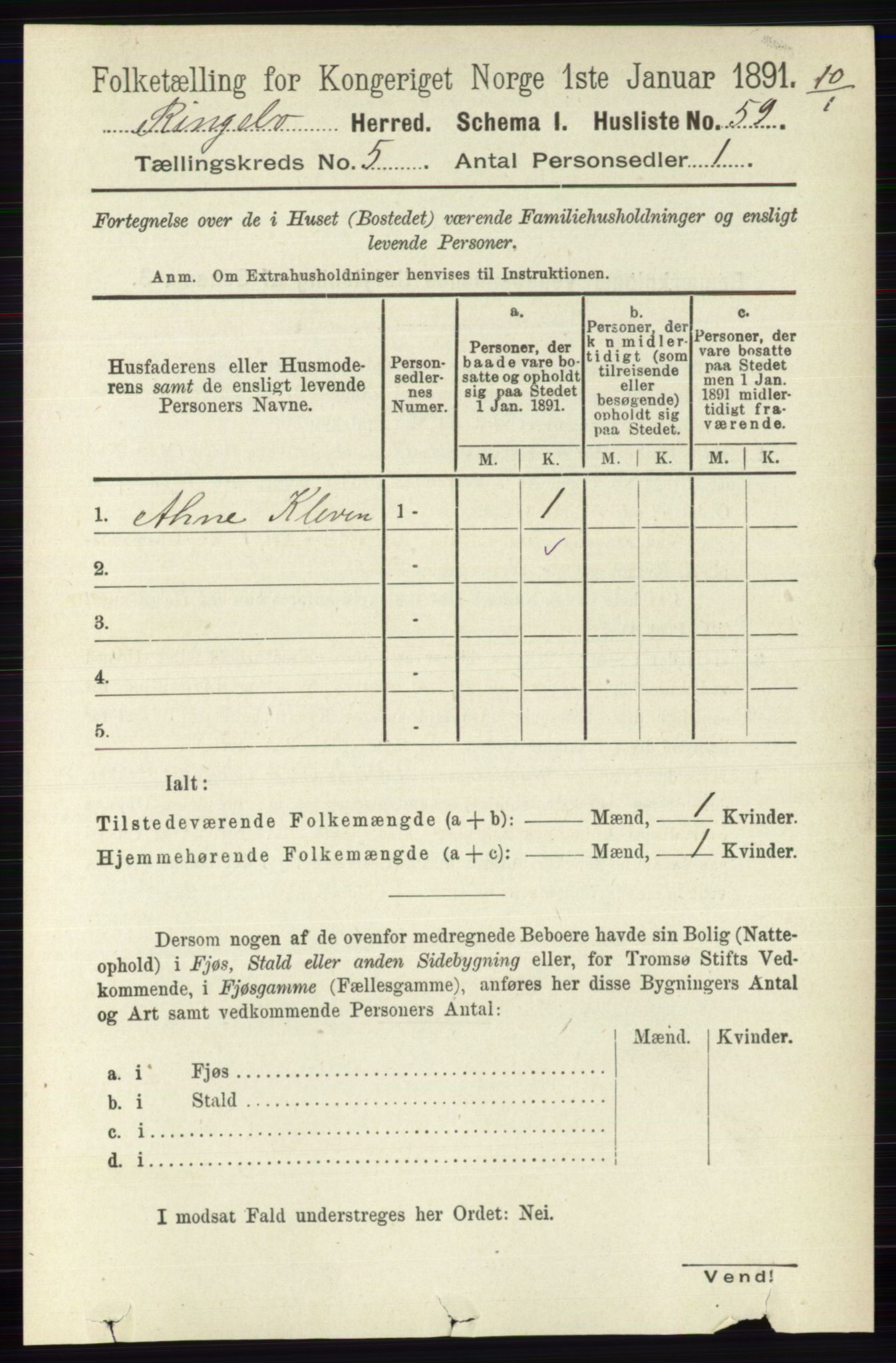 RA, 1891 census for 0520 Ringebu, 1891, p. 1958