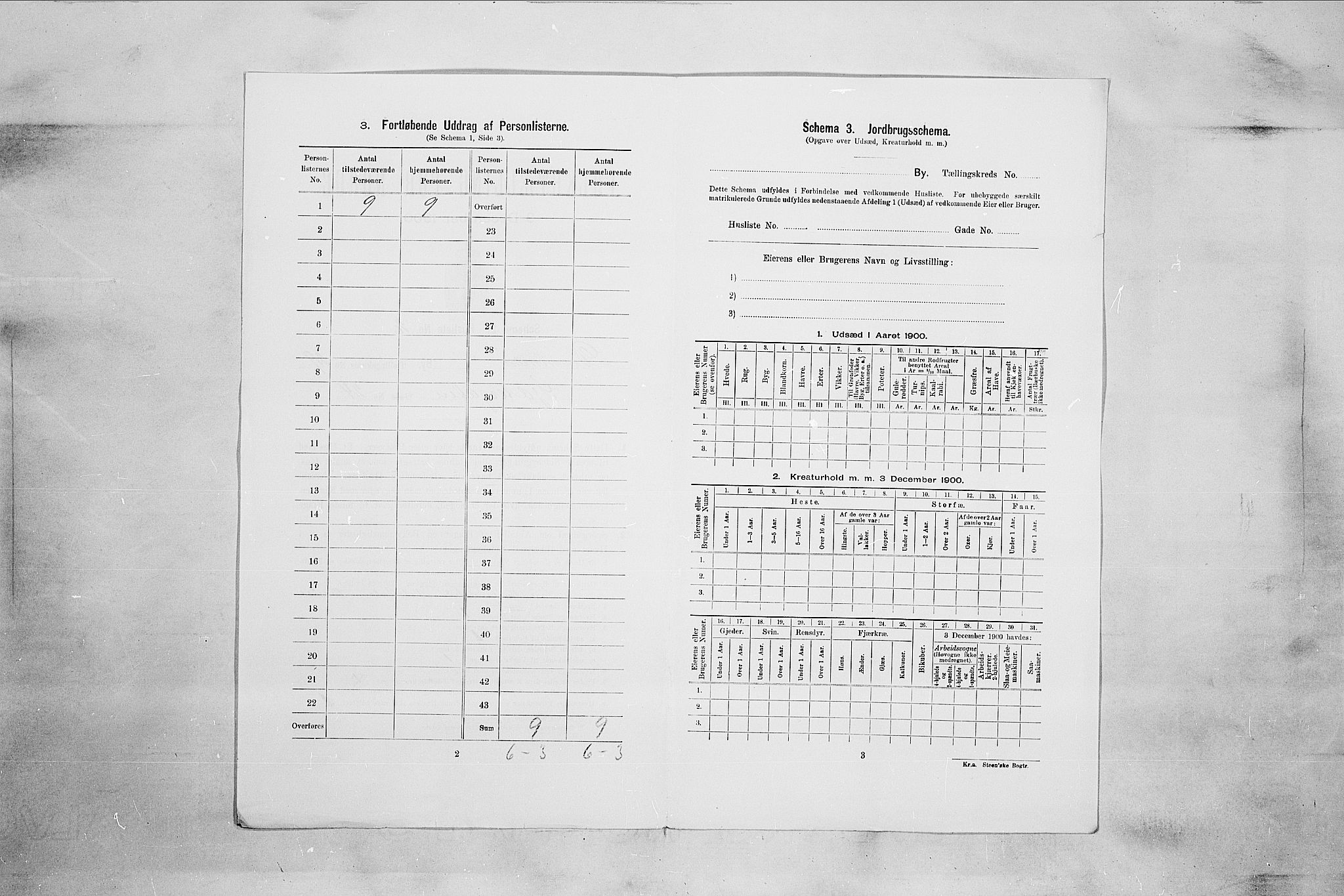 RA, 1900 census for Drammen, 1900, p. 4520