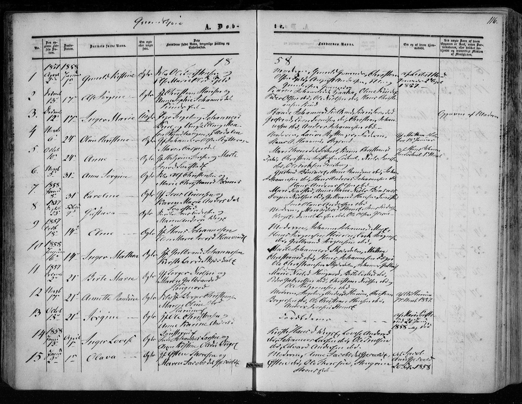Hole kirkebøker, SAKO/A-228/F/Fa/L0006: Parish register (official) no. I 6, 1852-1872, p. 116