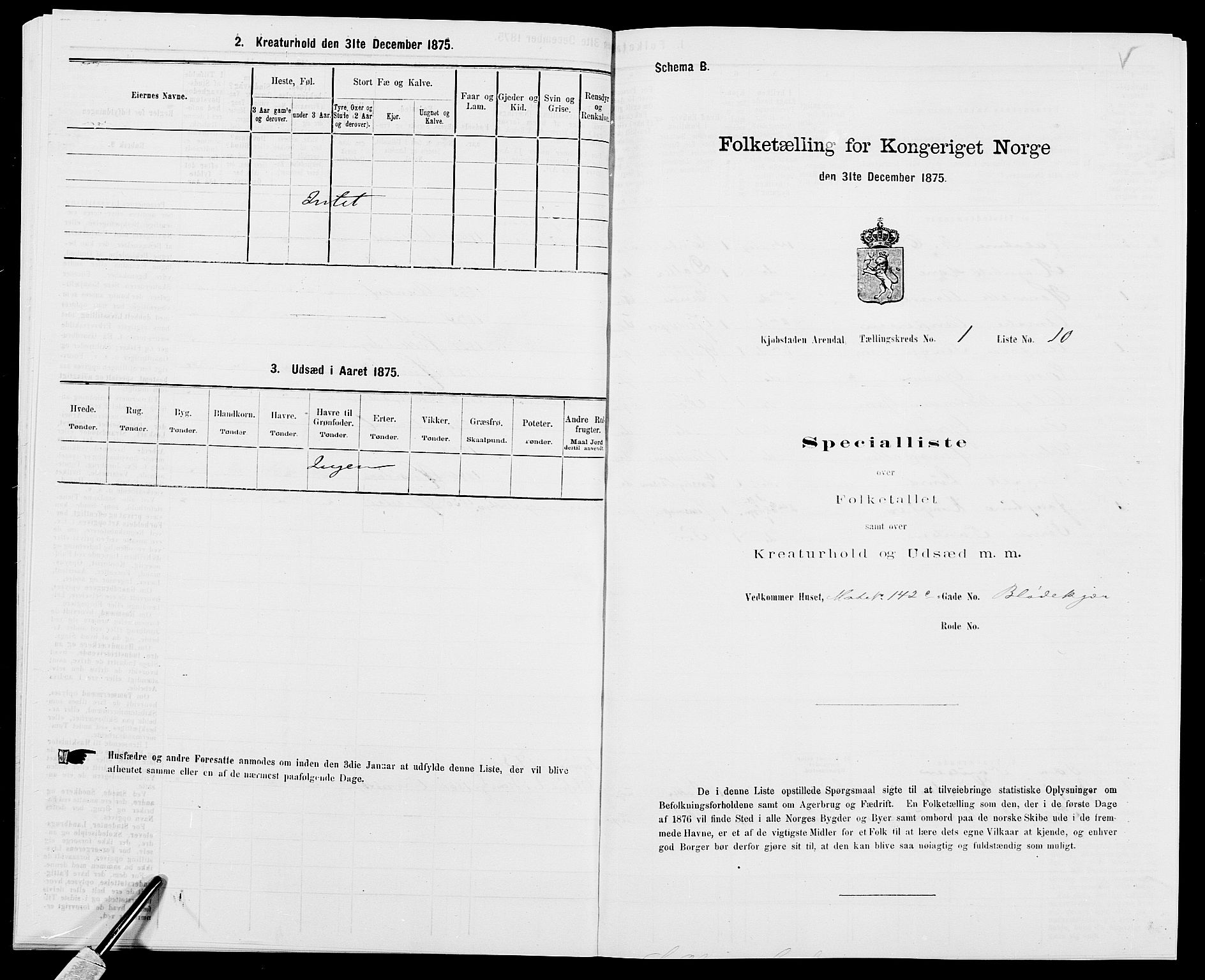 SAK, 1875 census for 0903P Arendal, 1875, p. 29