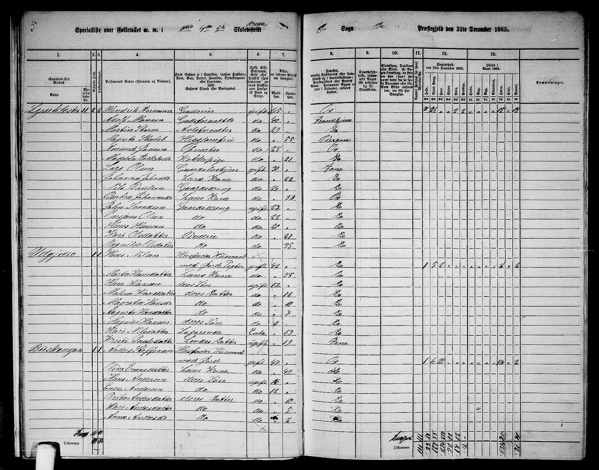 RA, 1865 census for Os, 1865, p. 16