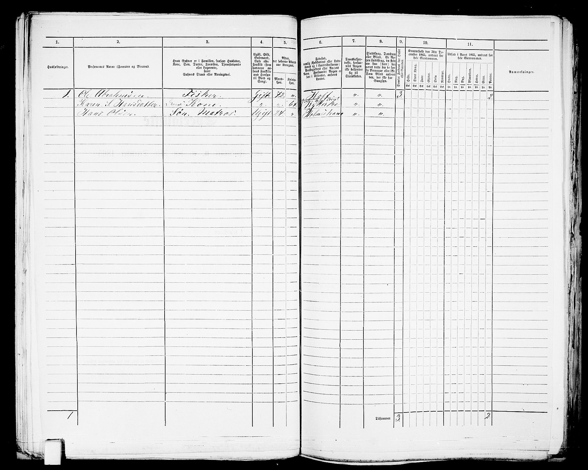 RA, 1865 census for Botne/Holmestrand, 1865, p. 53