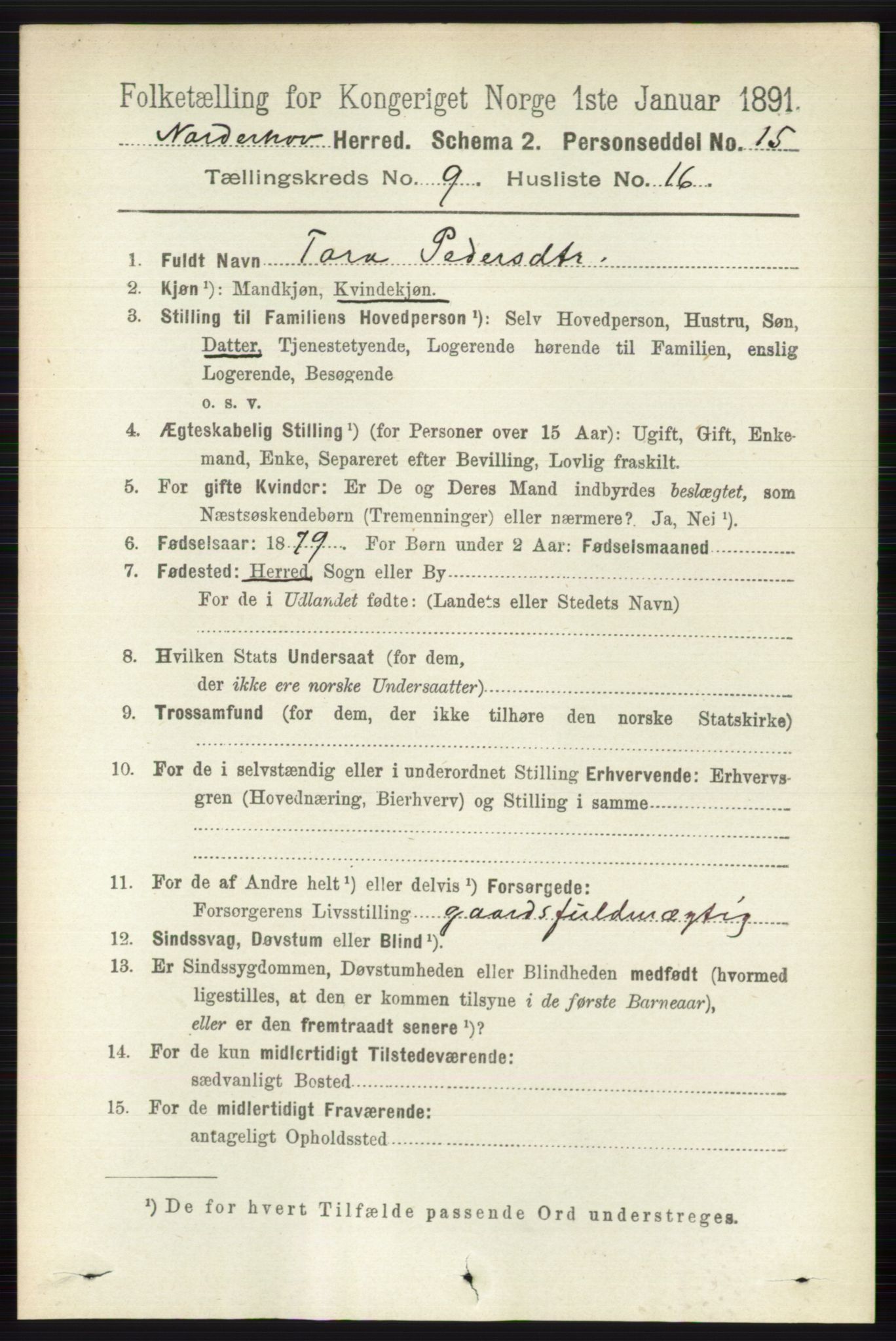 RA, 1891 census for 0613 Norderhov, 1891, p. 6700