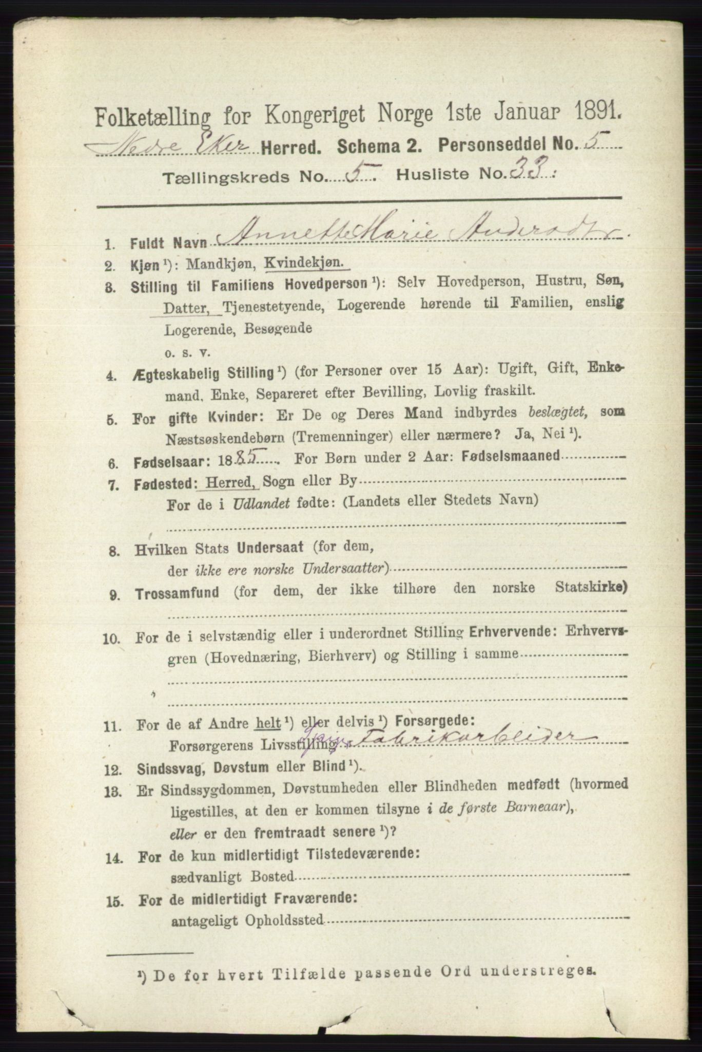 RA, 1891 census for 0625 Nedre Eiker, 1891, p. 2514