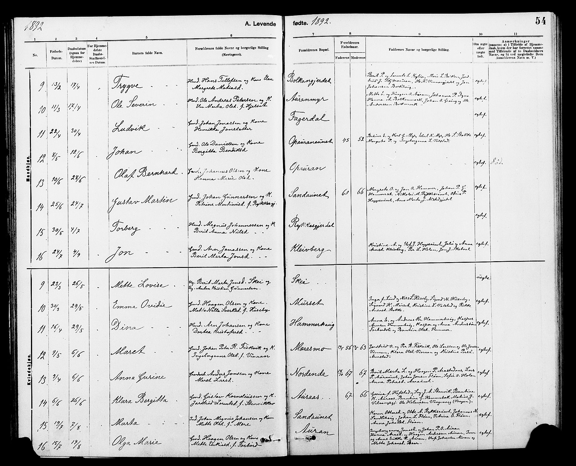 Ministerialprotokoller, klokkerbøker og fødselsregistre - Nord-Trøndelag, AV/SAT-A-1458/712/L0103: Parish register (copy) no. 712C01, 1878-1917, p. 54