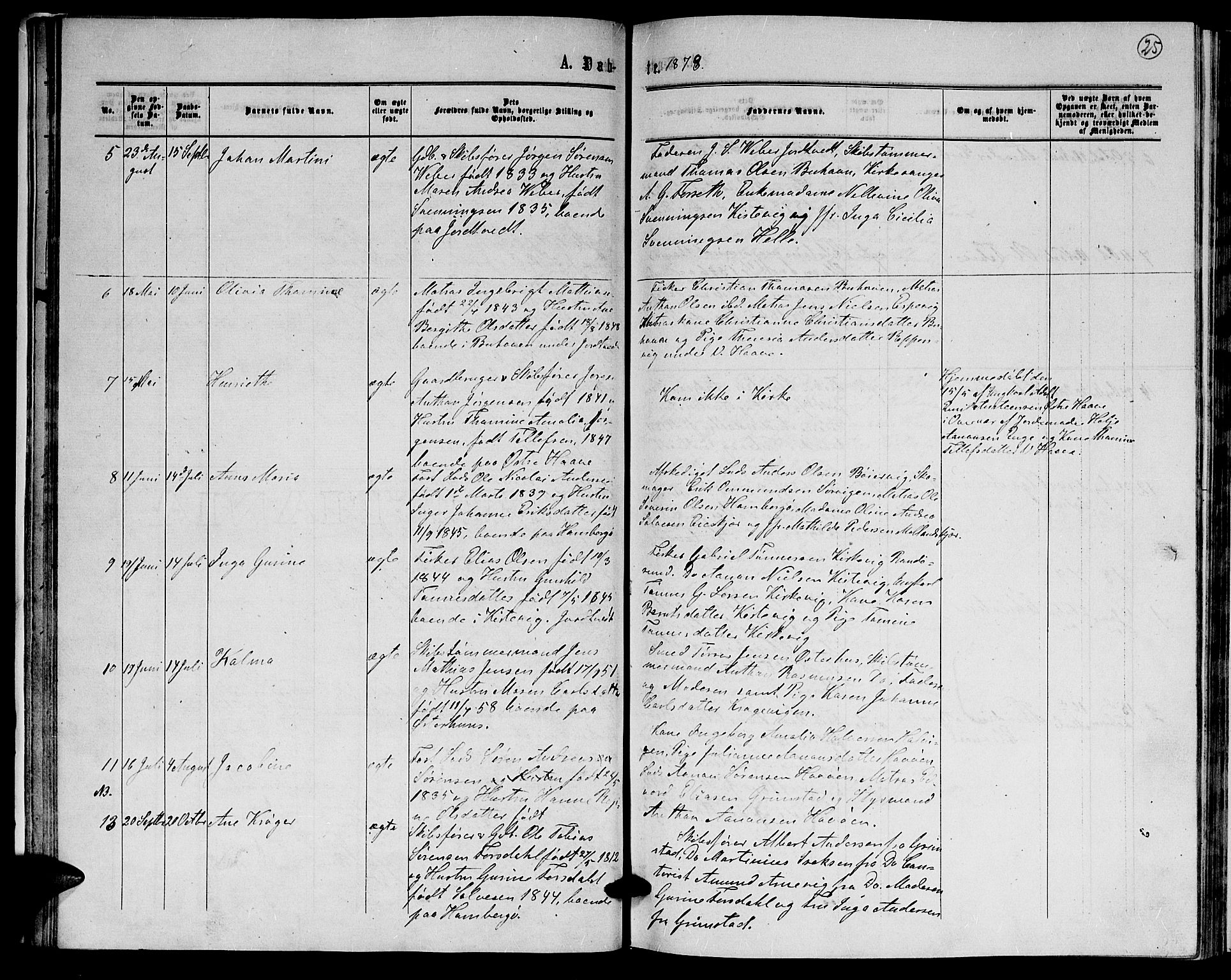 Hommedal sokneprestkontor, AV/SAK-1111-0023/F/Fb/Fba/L0003: Parish register (copy) no. B 3, 1863-1884, p. 25