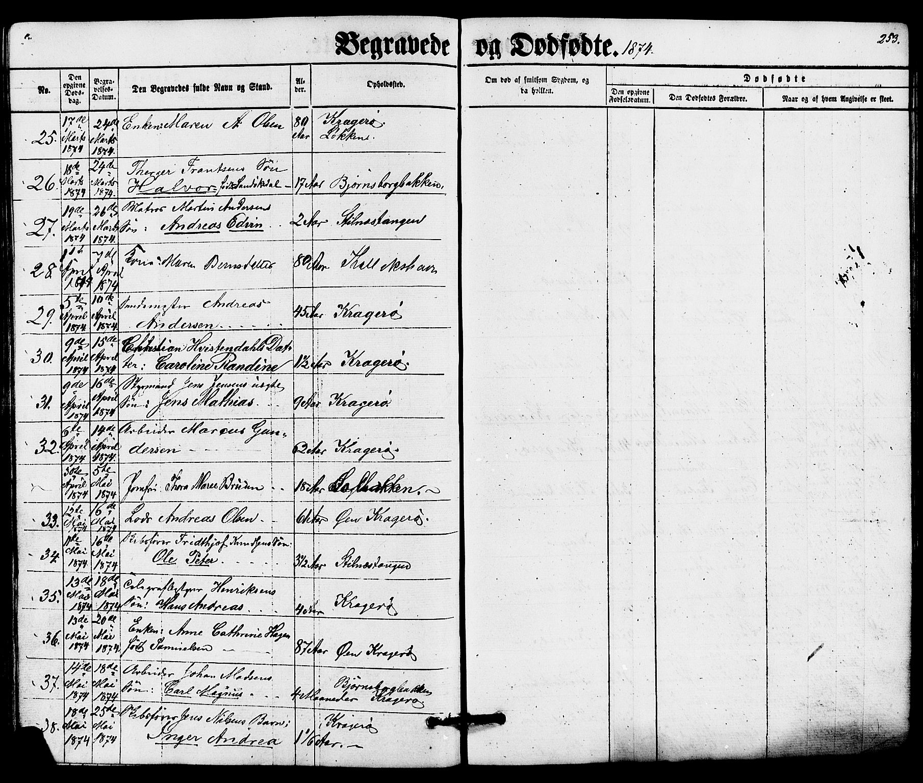 Kragerø kirkebøker, AV/SAKO-A-278/G/Ga/L0005: Parish register (copy) no. 5, 1865-1881, p. 253