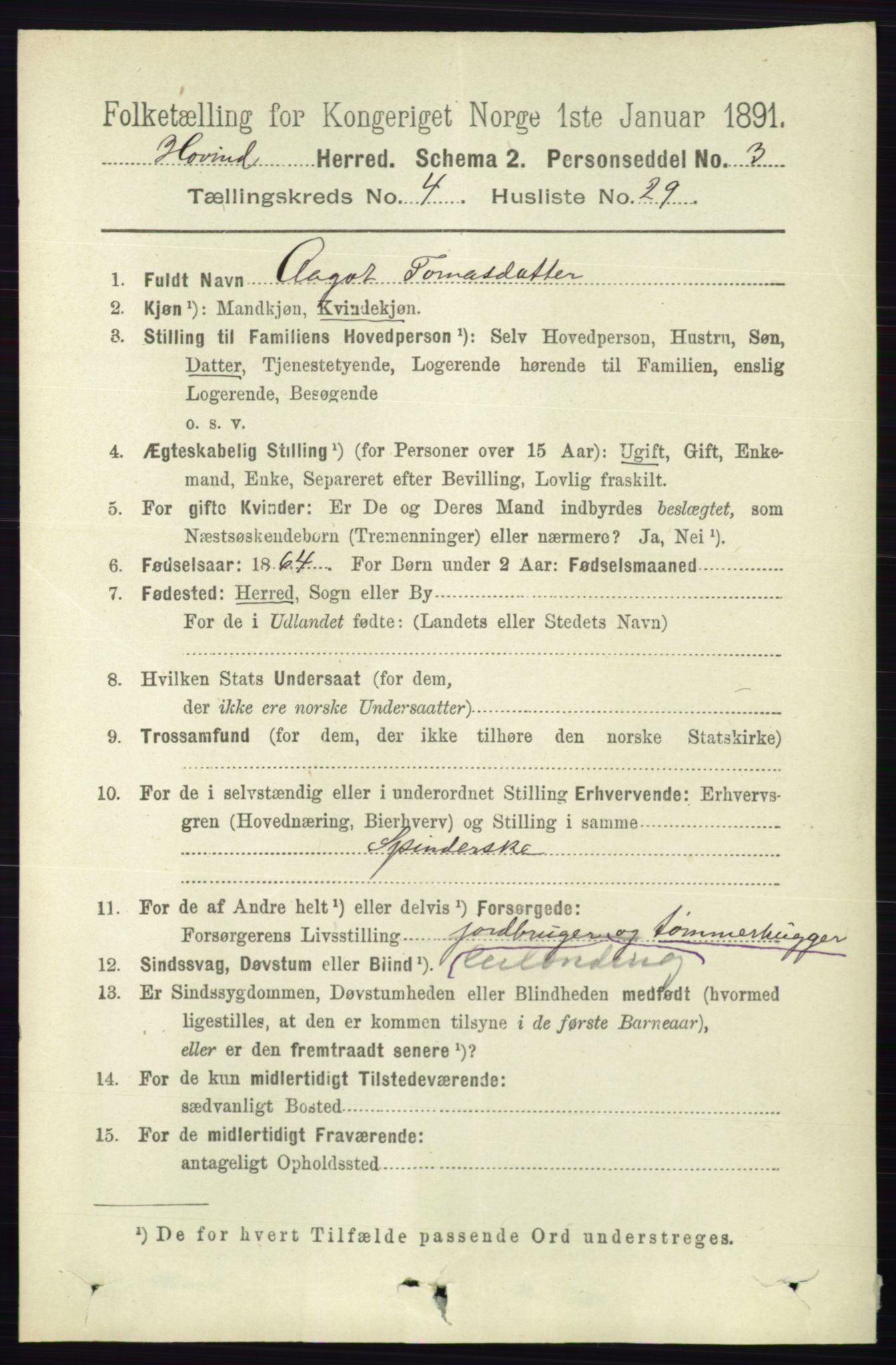 RA, 1891 census for 0825 Hovin, 1891, p. 957