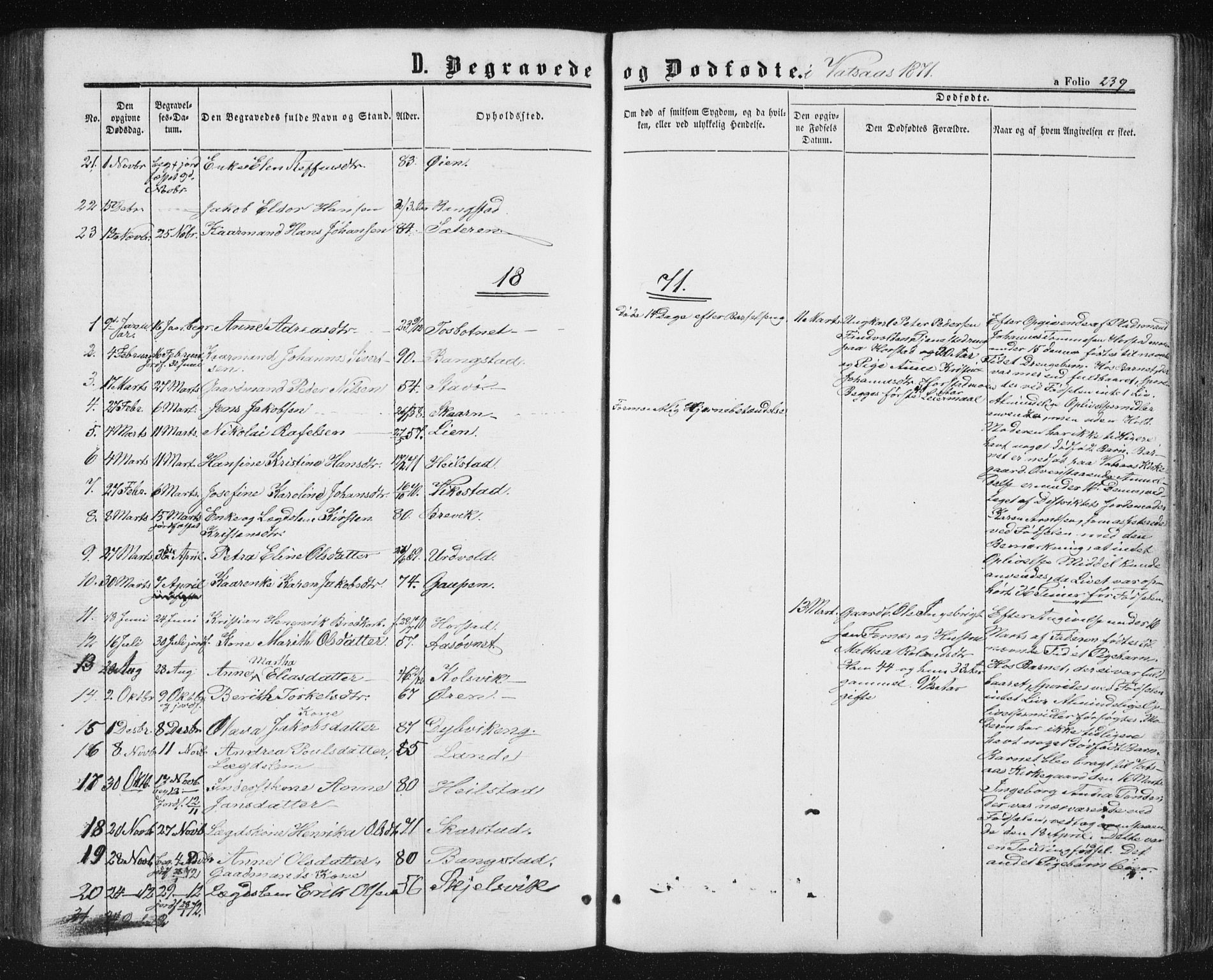 Ministerialprotokoller, klokkerbøker og fødselsregistre - Nordland, AV/SAT-A-1459/810/L0158: Parish register (copy) no. 810C02 /1, 1863-1883, p. 239