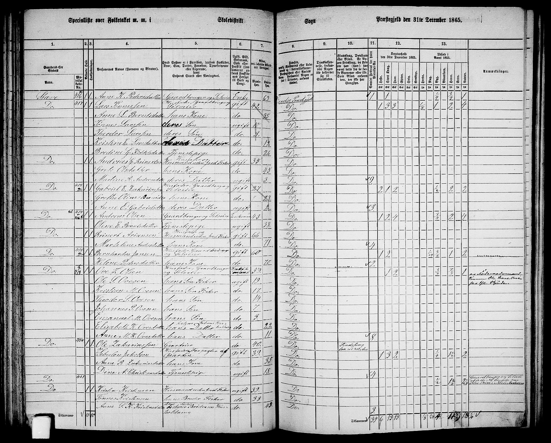 RA, 1865 census for Vanse/Vanse og Farsund, 1865, p. 141