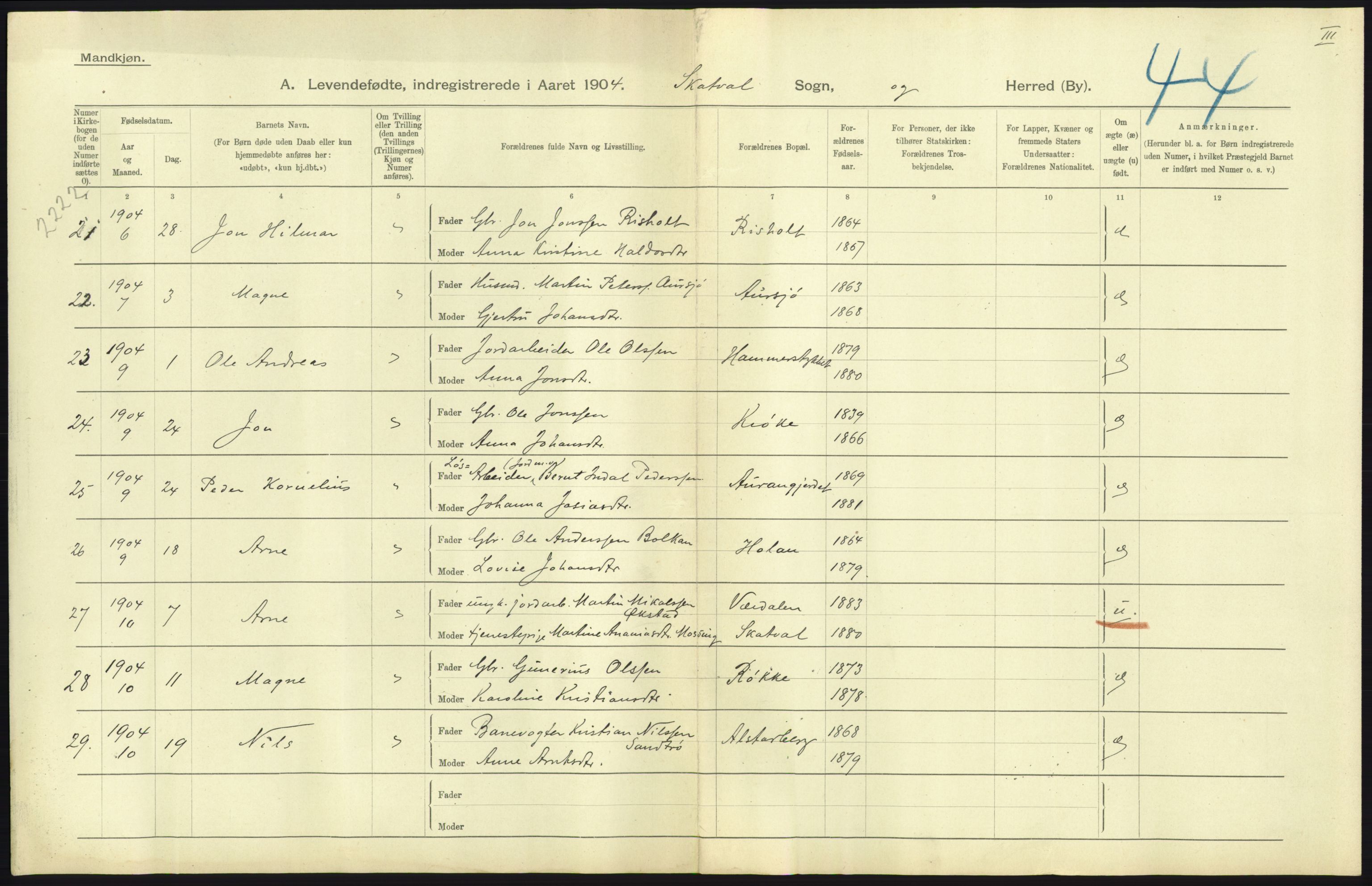 Statistisk sentralbyrå, Sosiodemografiske emner, Befolkning, RA/S-2228/D/Df/Dfa/Dfab/L0019: Nordre Trondhjems amt: Fødte, gifte, døde, 1904, p. 85