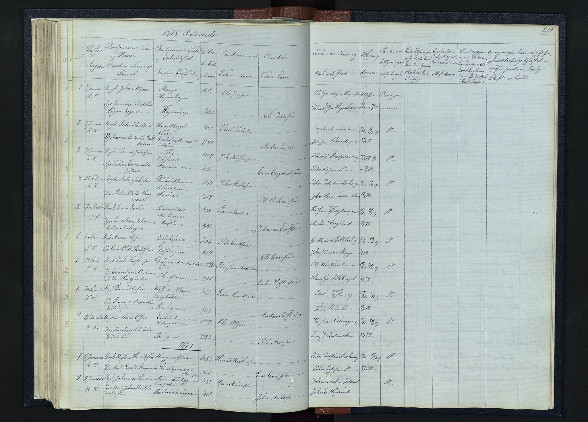Romedal prestekontor, SAH/PREST-004/L/L0010: Parish register (copy) no. 10, 1860-1895, p. 229