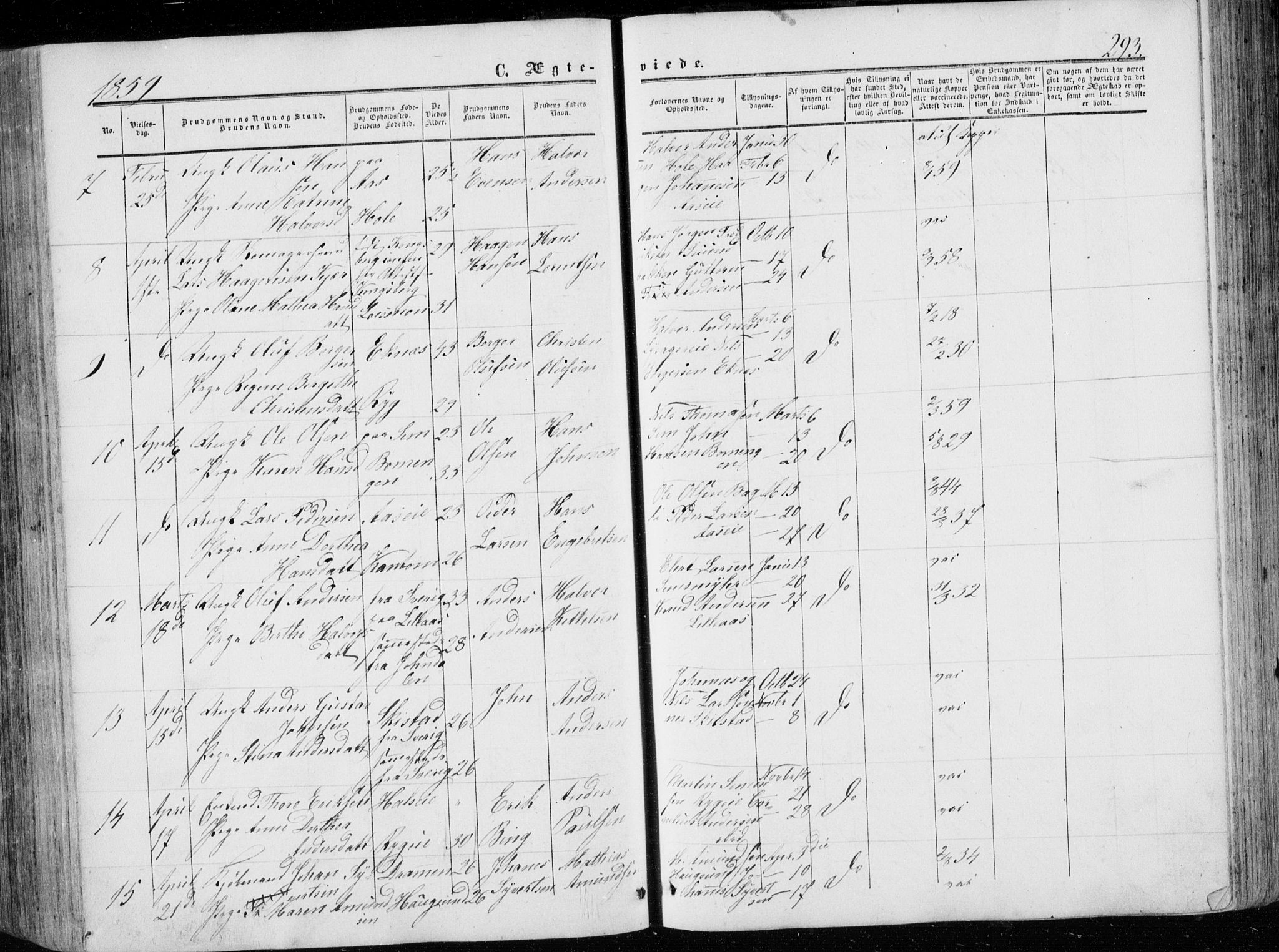 Eiker kirkebøker, SAKO/A-4/G/Ga/L0003: Parish register (copy) no. I 3, 1856-1871, p. 293