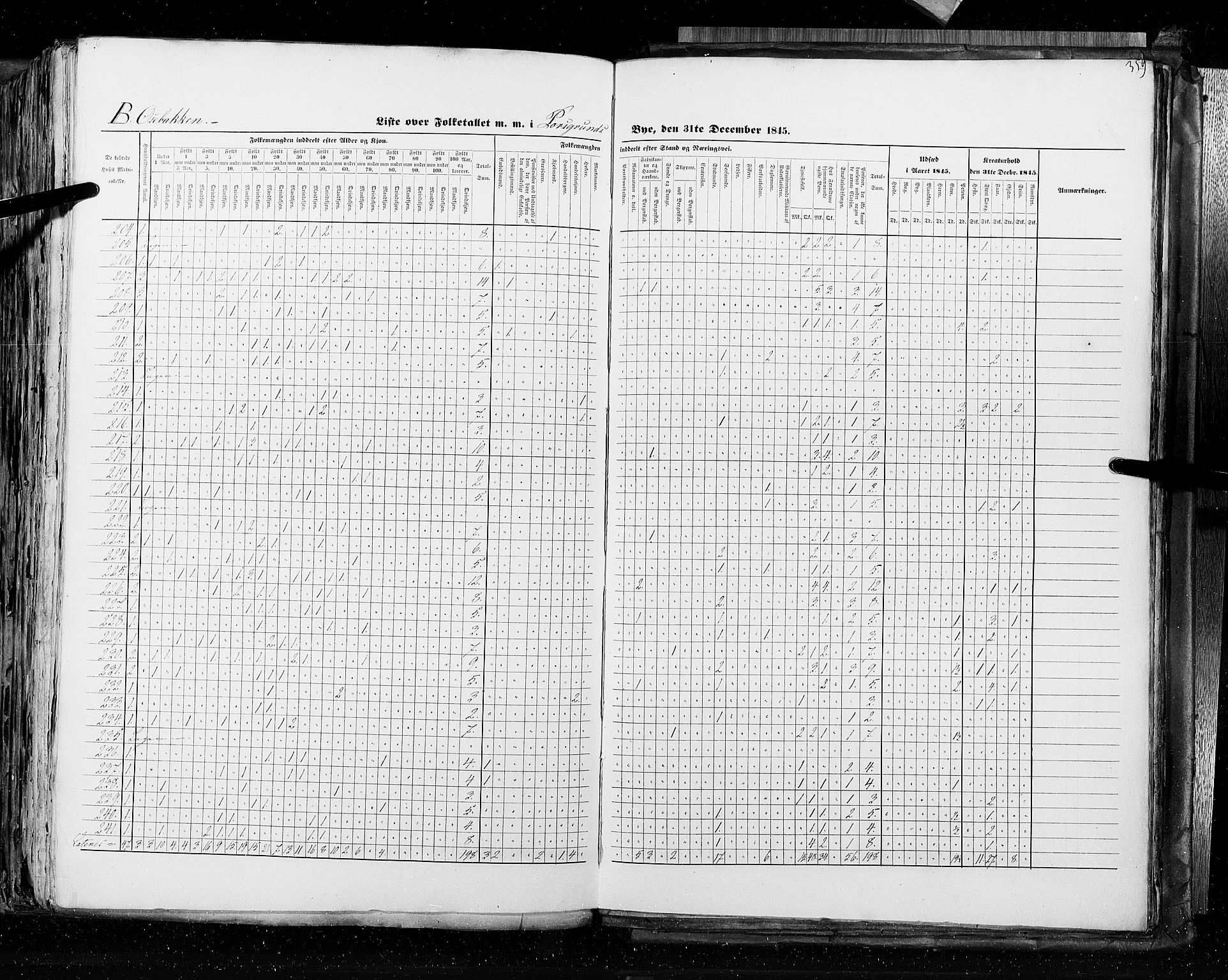 RA, Census 1845, vol. 10: Cities, 1845, p. 359