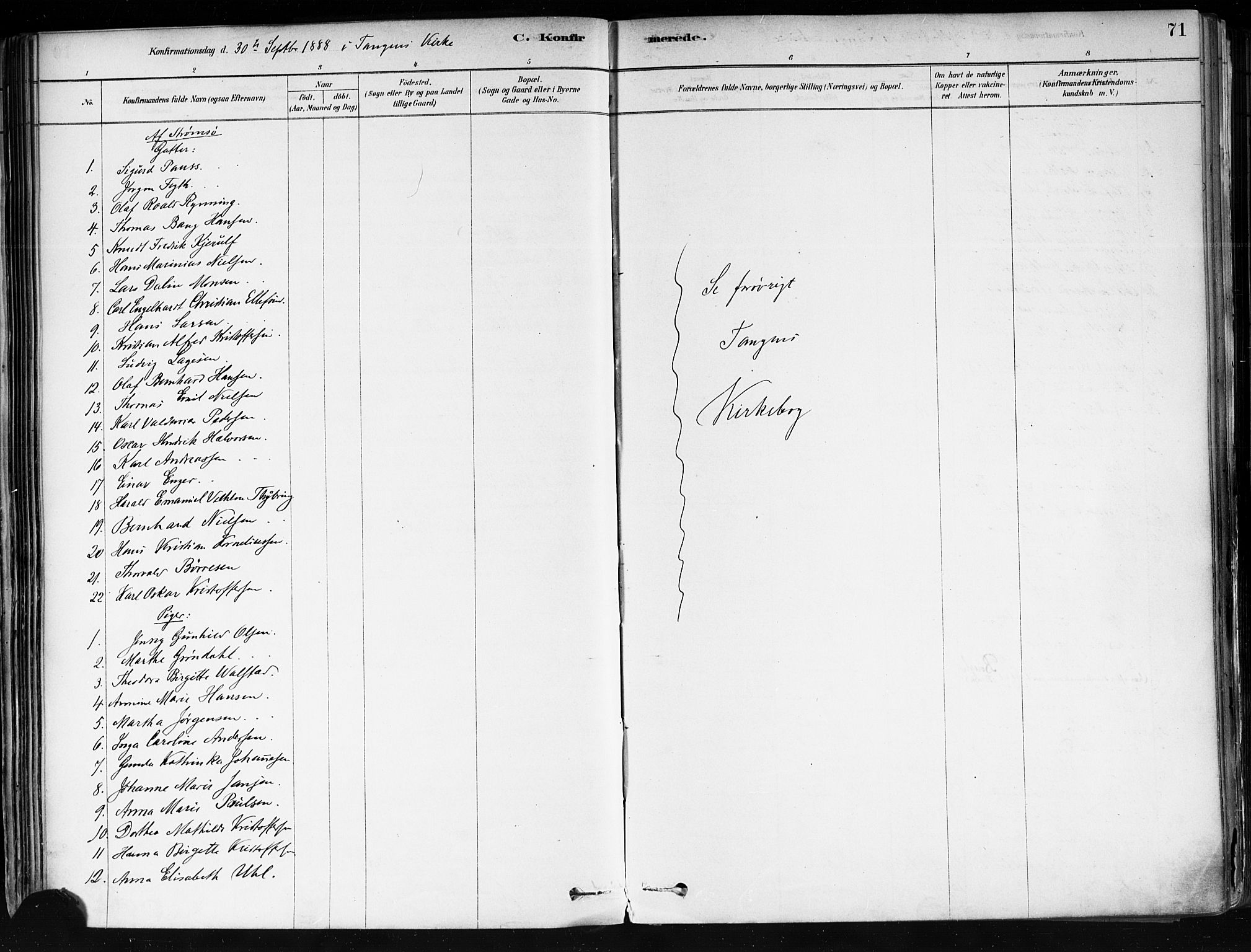 Strømsø kirkebøker, AV/SAKO-A-246/F/Fa/L0022: Parish register (official) no. I 22, 1879-1899, p. 71
