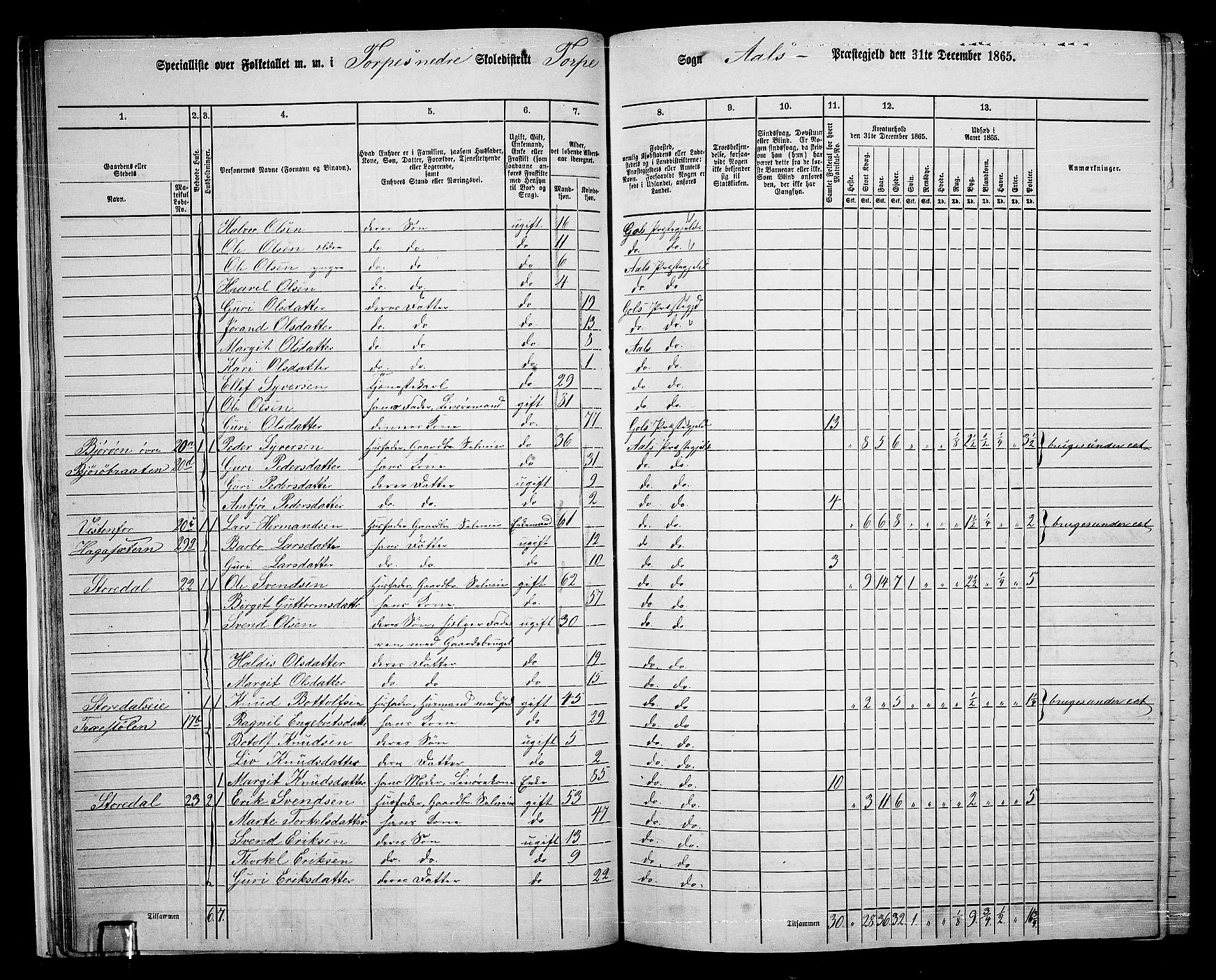 RA, 1865 census for Ål, 1865, p. 30