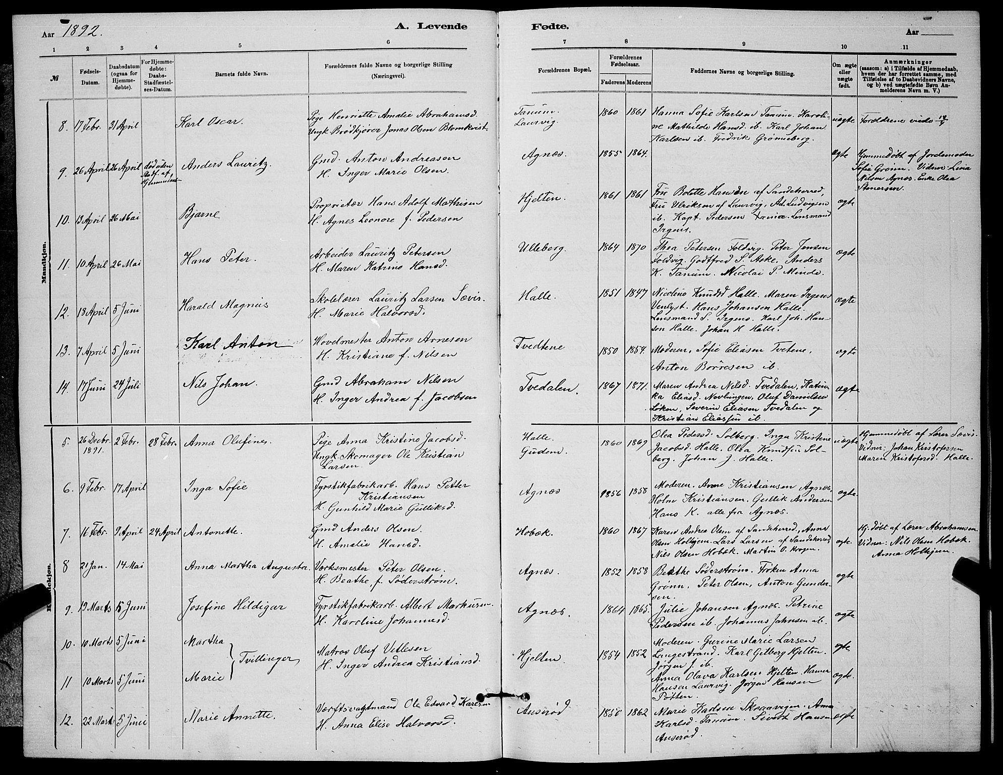 Brunlanes kirkebøker, AV/SAKO-A-342/G/Ga/L0003: Parish register (copy) no. I 3, 1877-1898