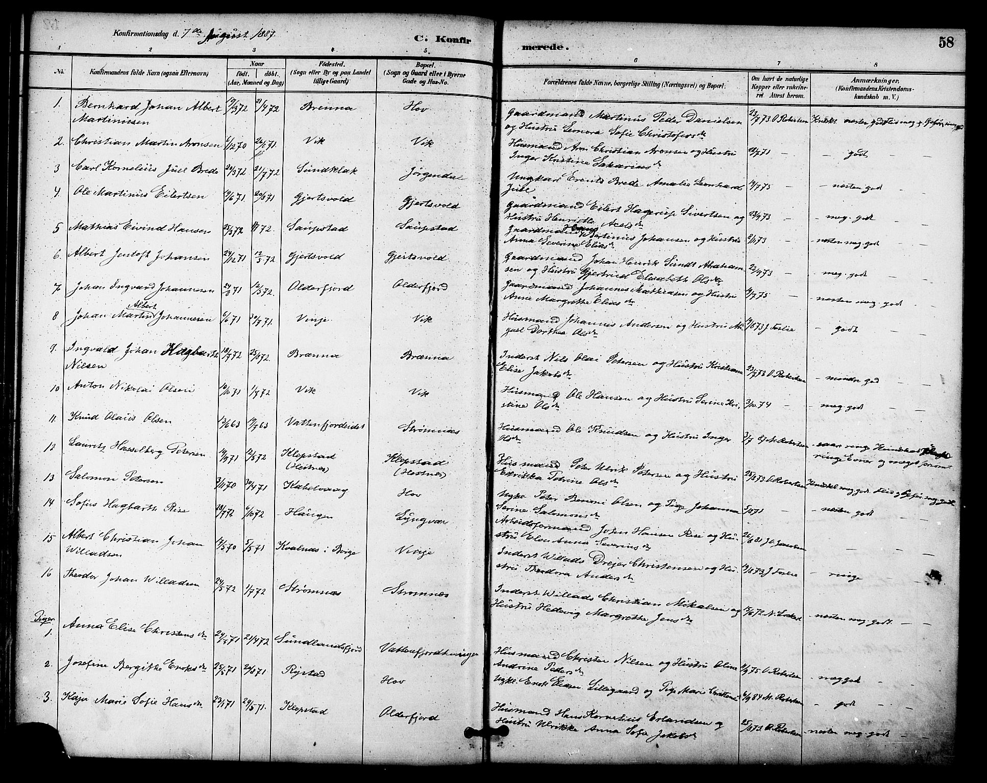 Ministerialprotokoller, klokkerbøker og fødselsregistre - Nordland, AV/SAT-A-1459/876/L1097: Parish register (official) no. 876A03, 1886-1896, p. 58