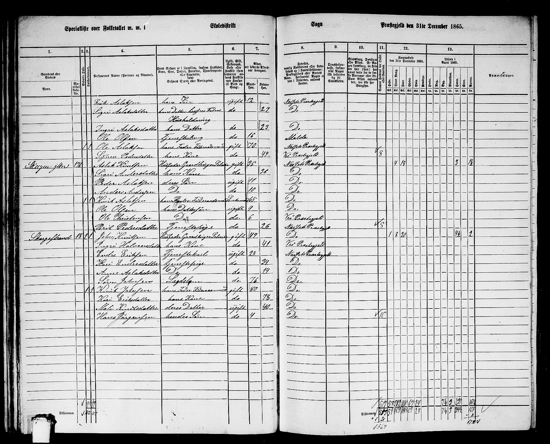 RA, 1865 census for Nesset, 1865, p. 30