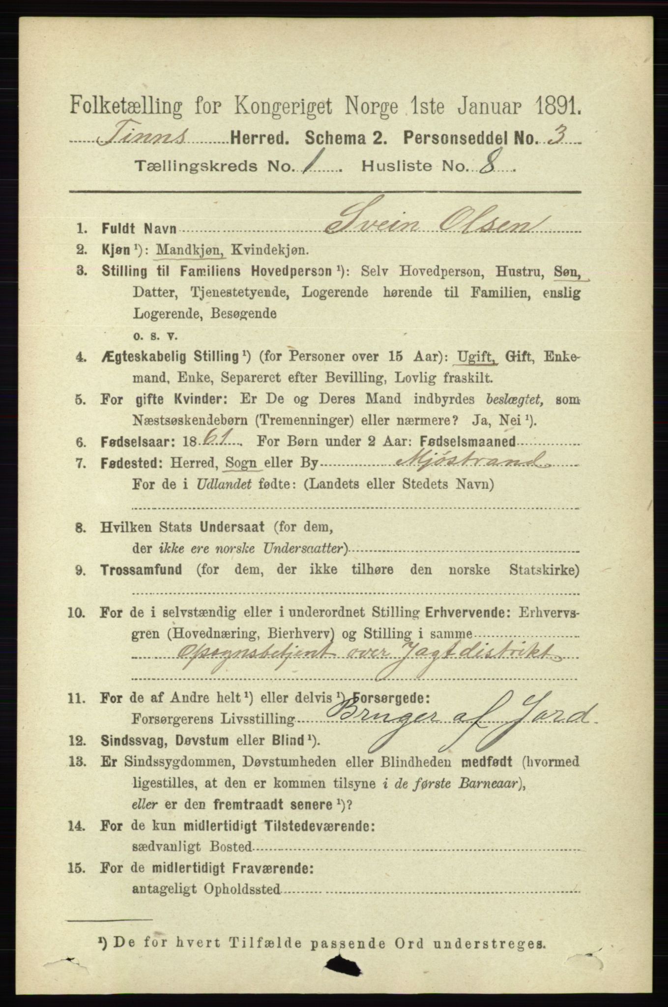 RA, 1891 census for 0826 Tinn, 1891, p. 85