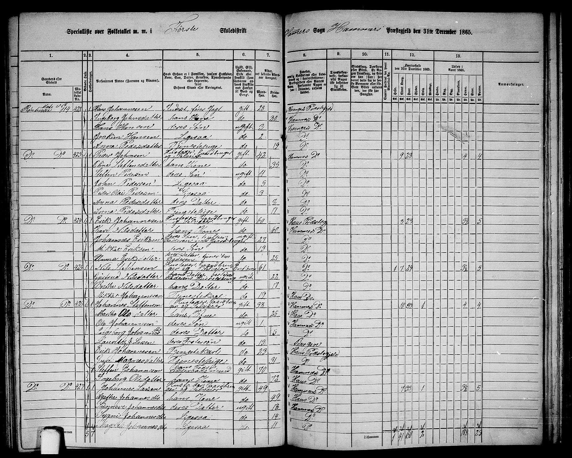 RA, 1865 census for Hamre, 1865, p. 154