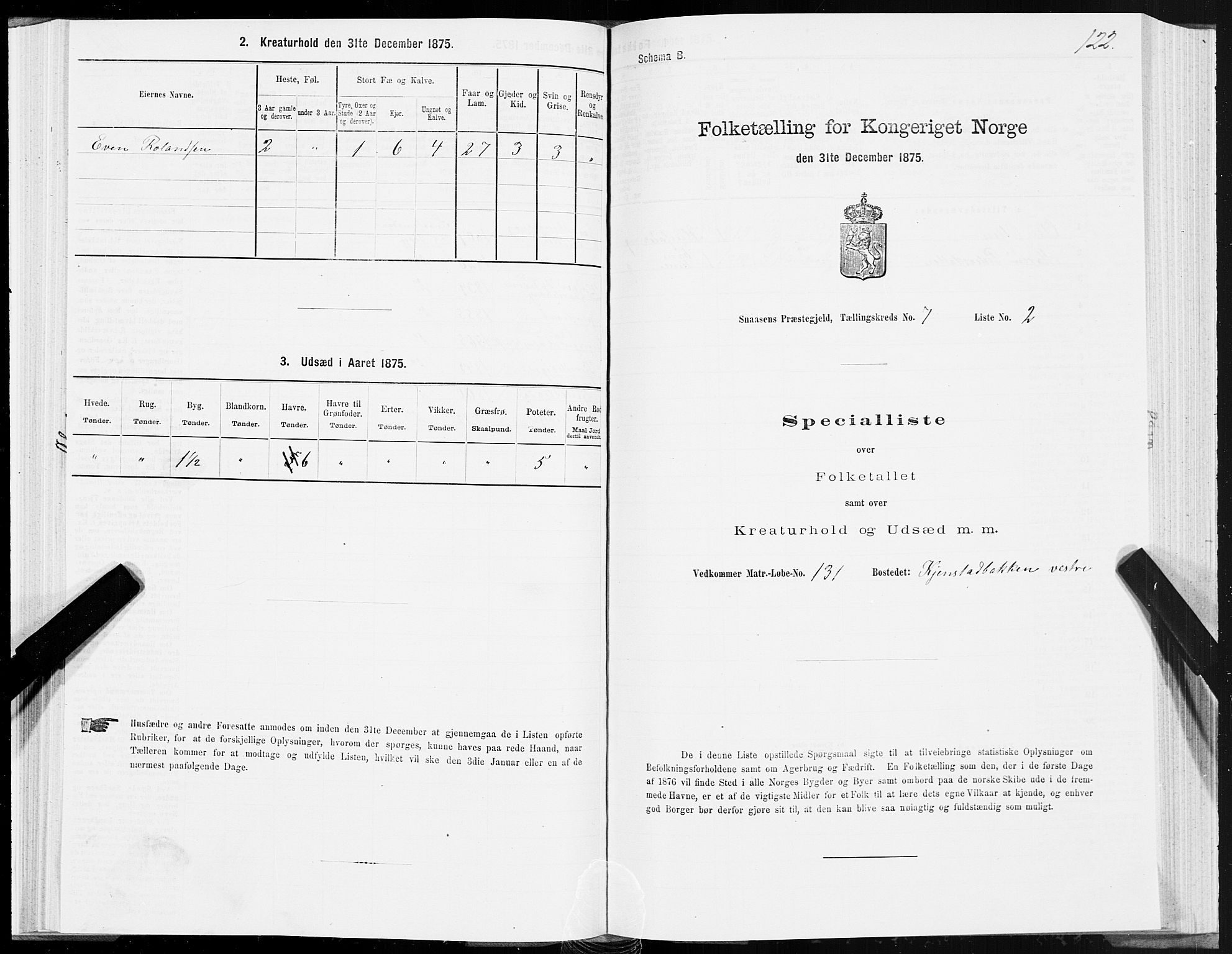 SAT, 1875 census for 1736P Snåsa, 1875, p. 3122