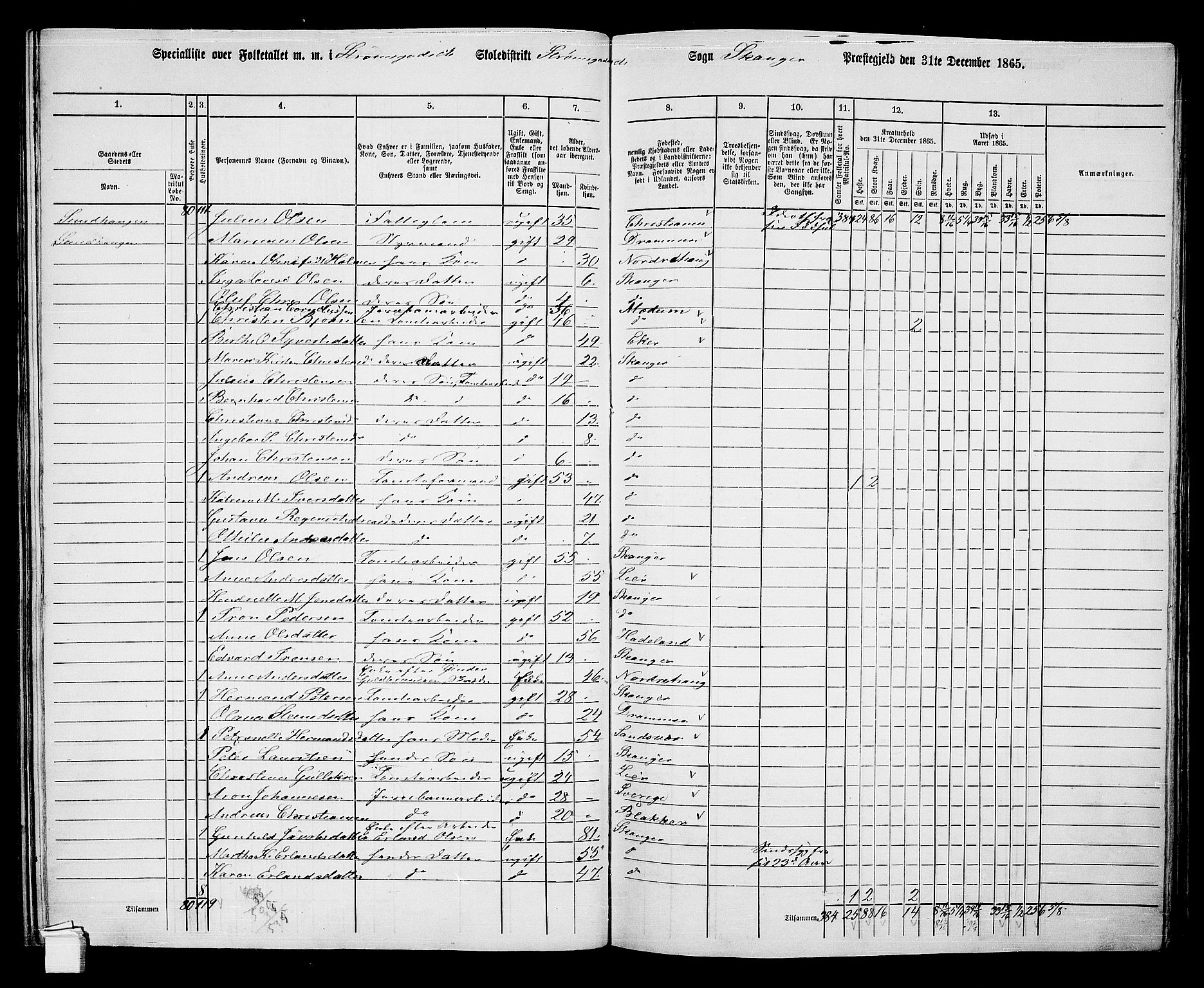 RA, 1865 census for Skoger, 1865, p. 133