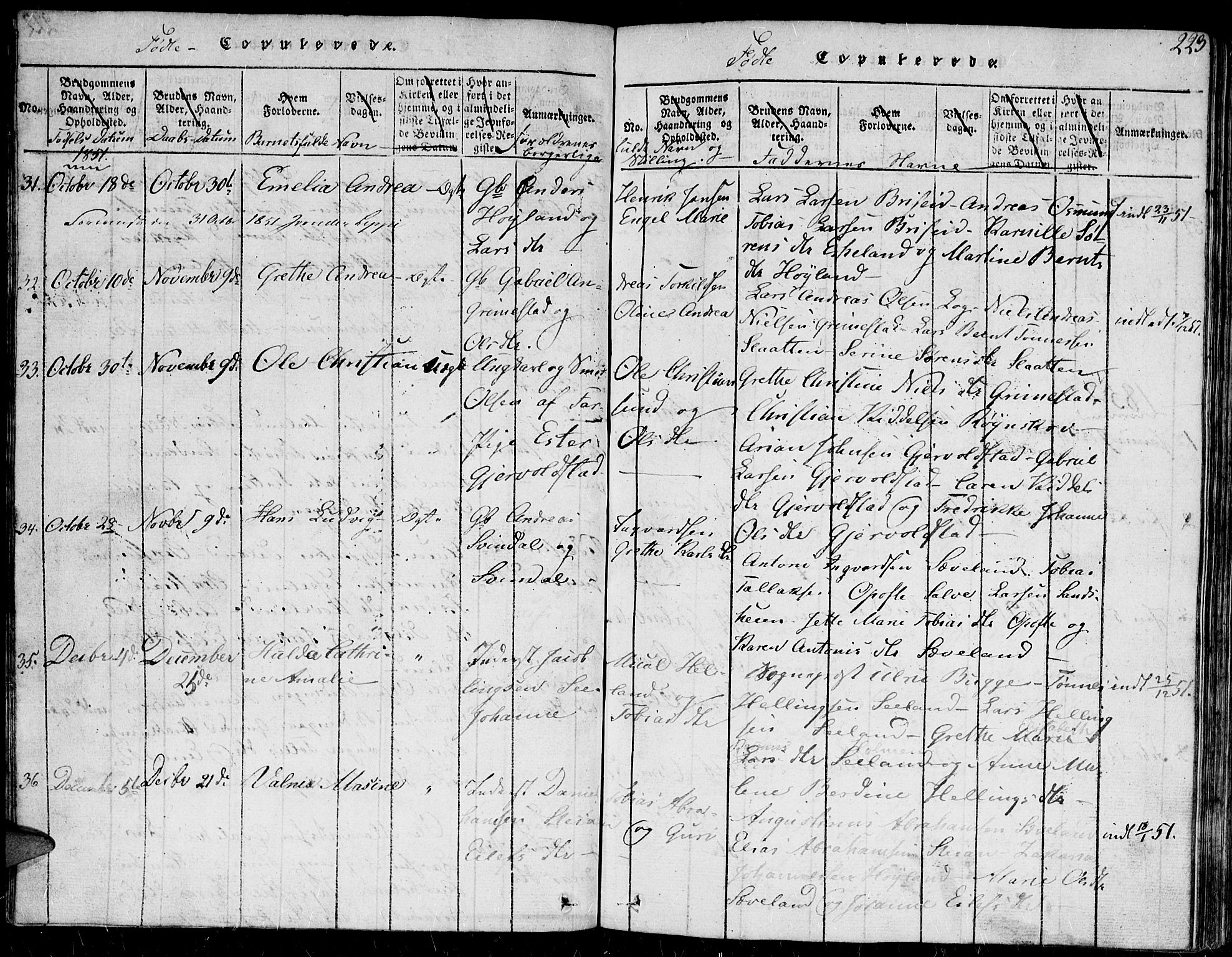 Herad sokneprestkontor, AV/SAK-1111-0018/F/Fb/Fba/L0001: Parish register (copy) no. B 1, 1815-1852, p. 223