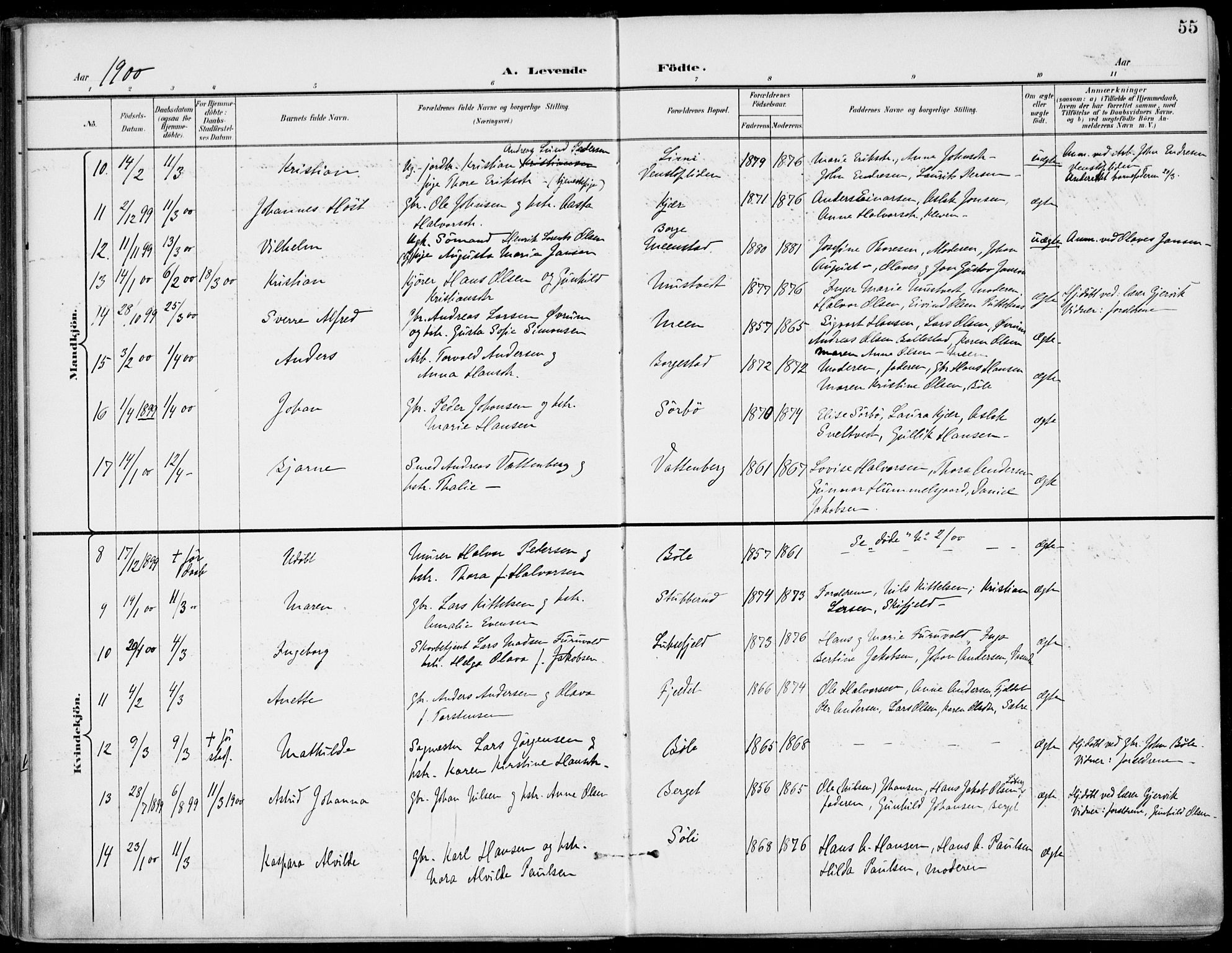 Gjerpen kirkebøker, SAKO/A-265/F/Fa/L0011: Parish register (official) no. I 11, 1896-1904, p. 55