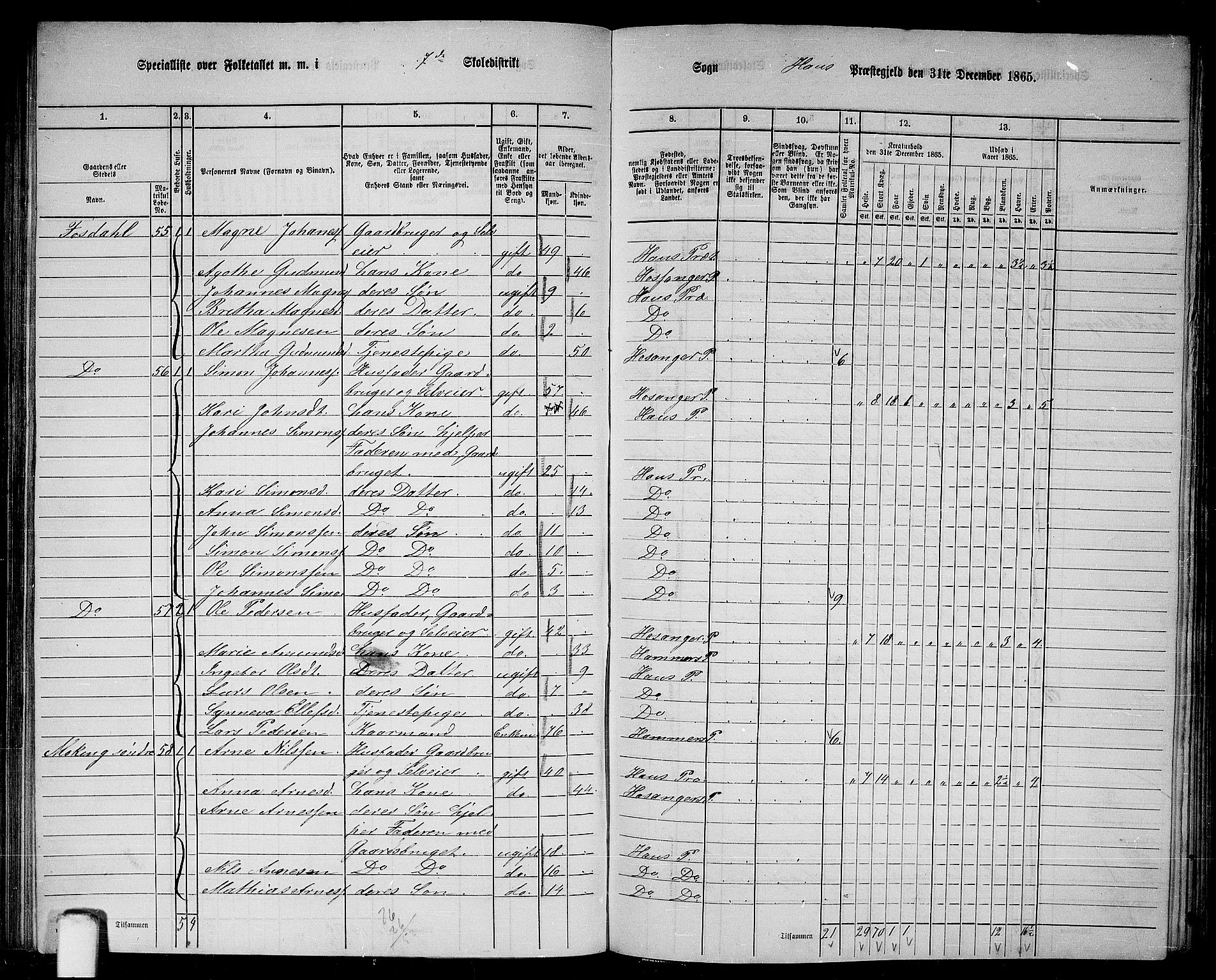 RA, 1865 census for Haus, 1865, p. 128