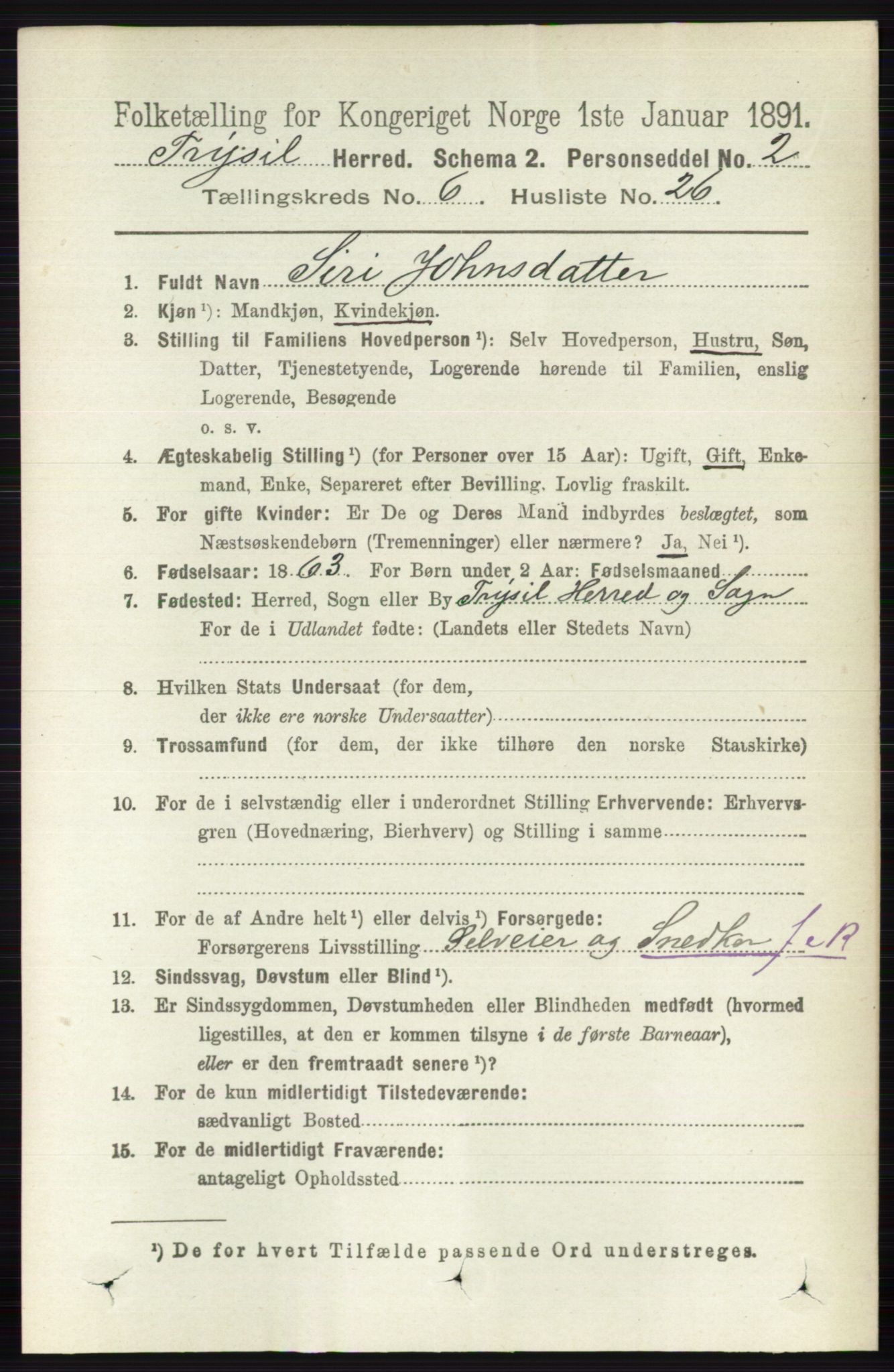 RA, 1891 census for 0428 Trysil, 1891, p. 3000