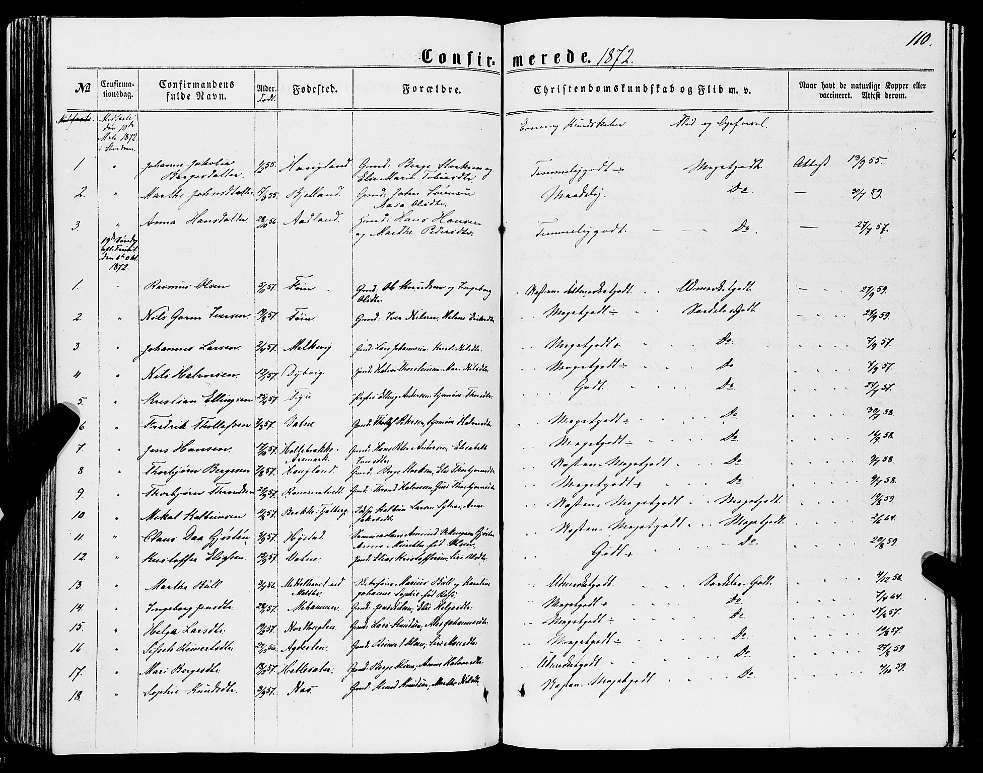 Stord sokneprestembete, SAB/A-78201/H/Haa: Parish register (official) no. B 1, 1862-1877, p. 110