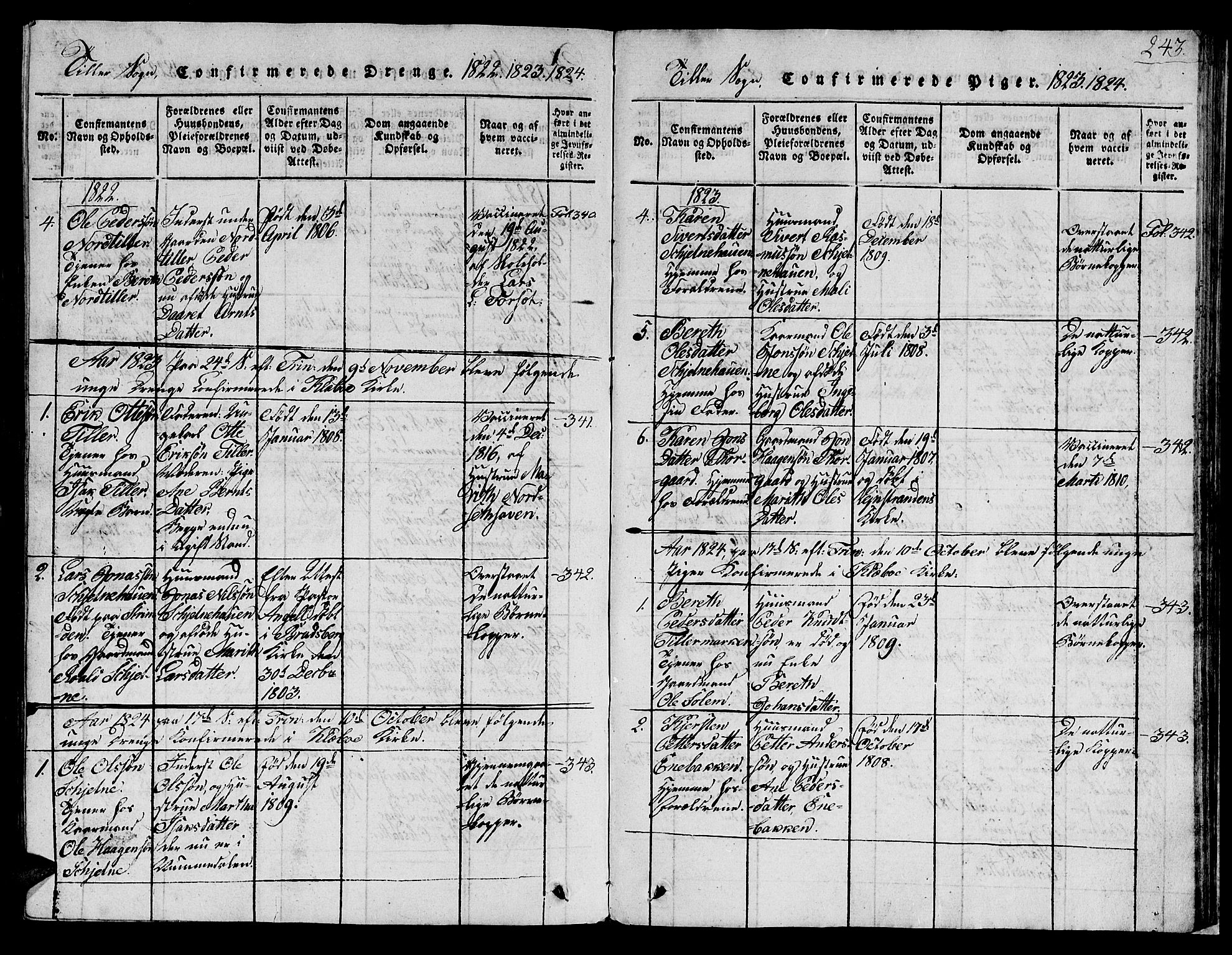 Ministerialprotokoller, klokkerbøker og fødselsregistre - Sør-Trøndelag, SAT/A-1456/621/L0458: Parish register (copy) no. 621C01, 1816-1865, p. 243