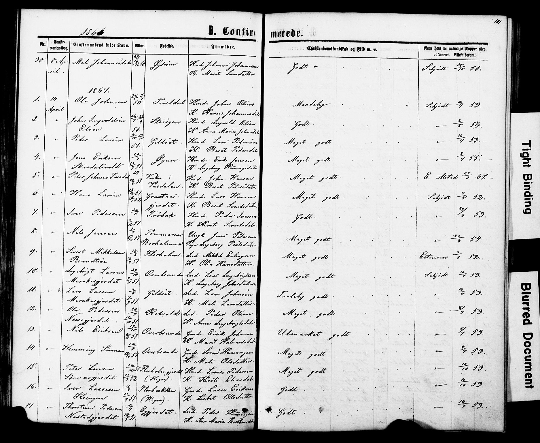Ministerialprotokoller, klokkerbøker og fødselsregistre - Nord-Trøndelag, SAT/A-1458/706/L0049: Parish register (copy) no. 706C01, 1864-1895, p. 101