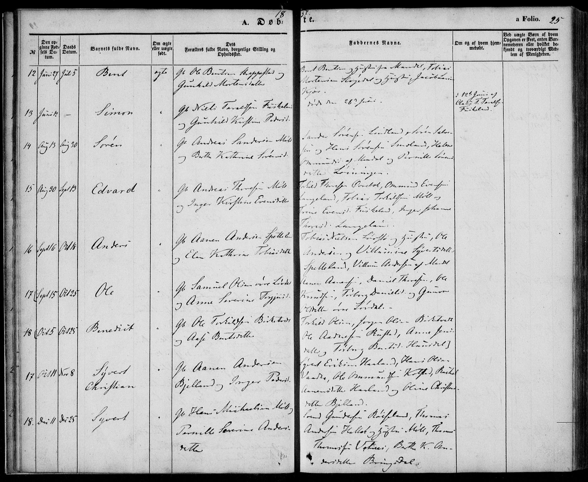 Holum sokneprestkontor, AV/SAK-1111-0022/F/Fa/Faa/L0005: Parish register (official) no. A 5, 1850-1864, p. 25