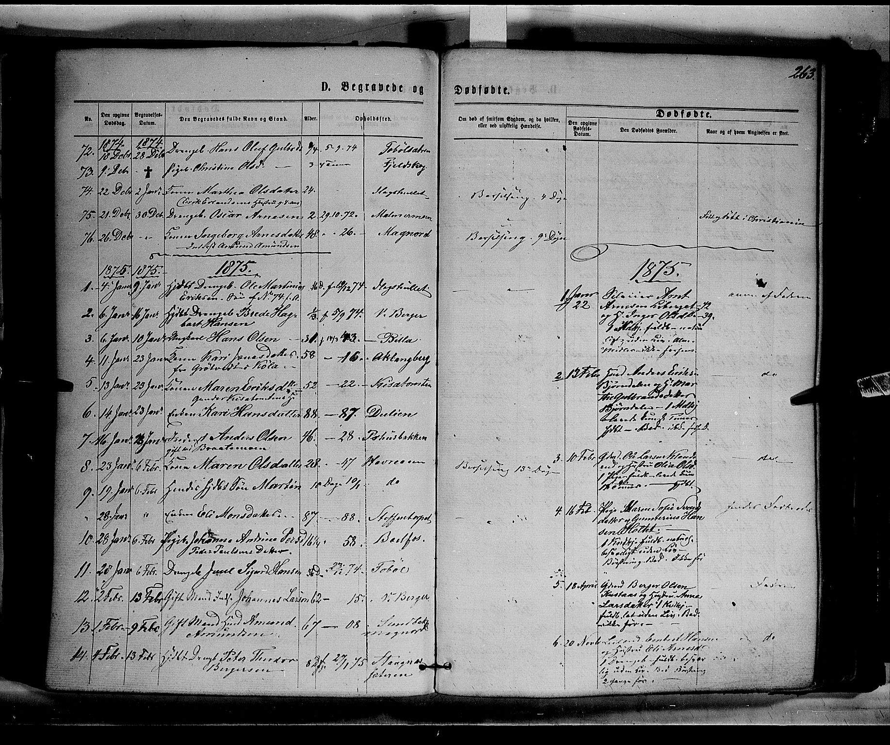 Eidskog prestekontor, AV/SAH-PREST-026/H/Ha/Haa/L0002: Parish register (official) no. 2, 1867-1878, p. 263