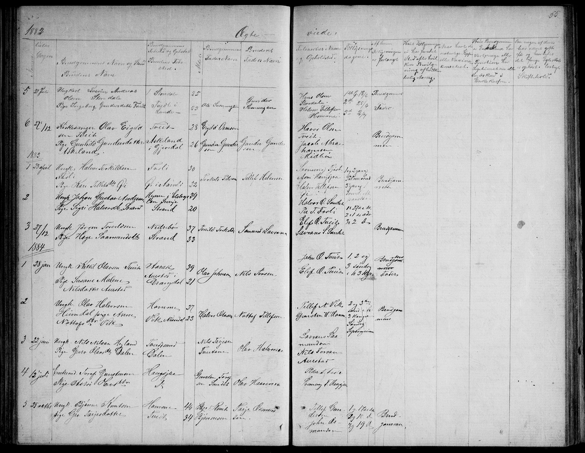 Nissedal kirkebøker, SAKO/A-288/G/Gb/L0002: Parish register (copy) no. II 2, 1863-1892, p. 55