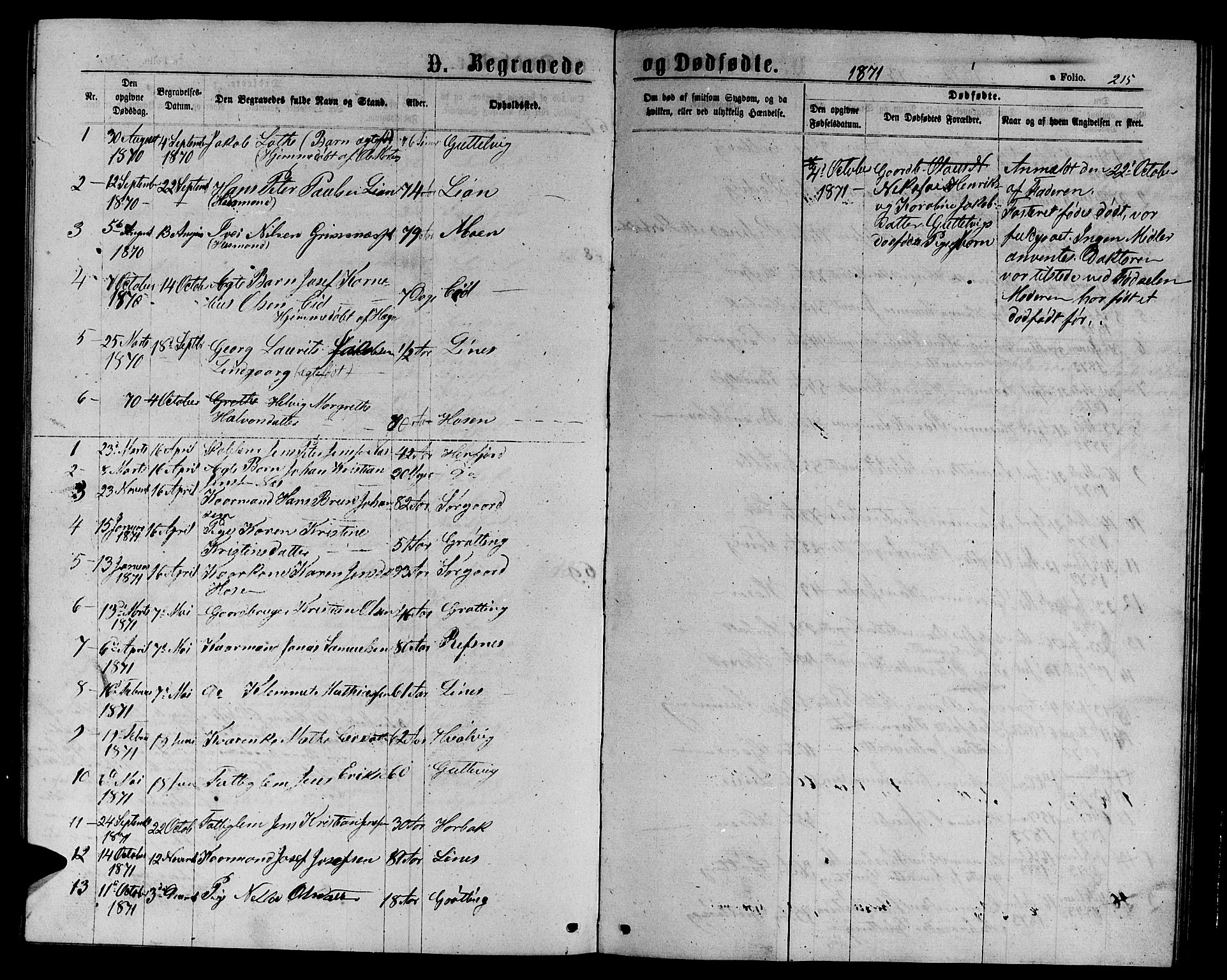 Ministerialprotokoller, klokkerbøker og fødselsregistre - Sør-Trøndelag, SAT/A-1456/656/L0695: Parish register (copy) no. 656C01, 1867-1889, p. 215