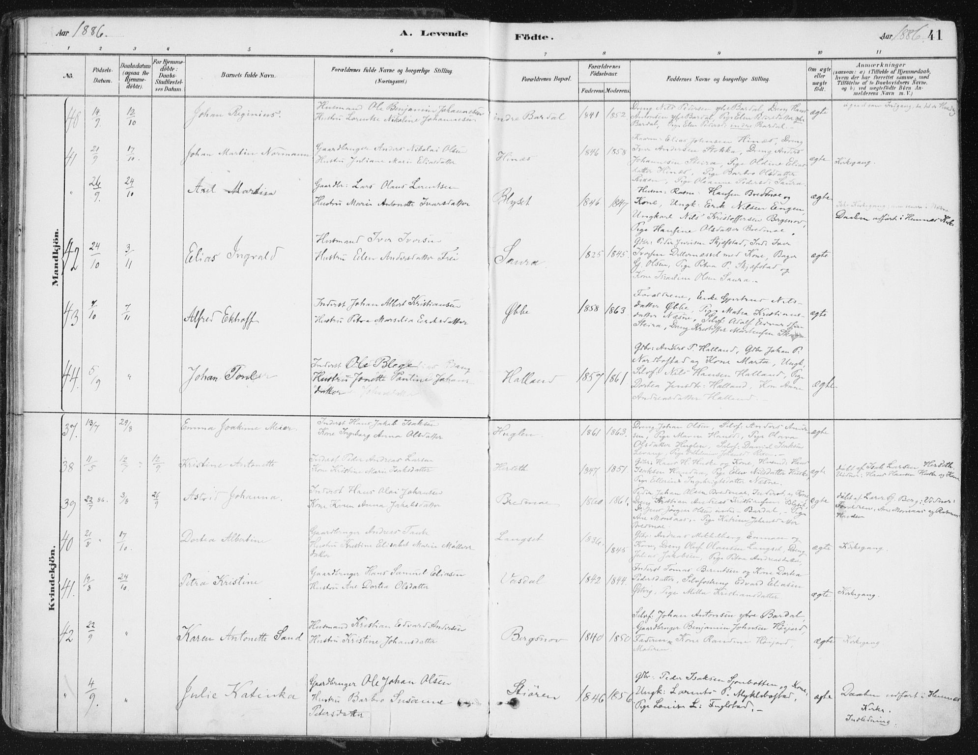 Ministerialprotokoller, klokkerbøker og fødselsregistre - Nordland, AV/SAT-A-1459/838/L0552: Parish register (official) no. 838A10, 1880-1910, p. 41