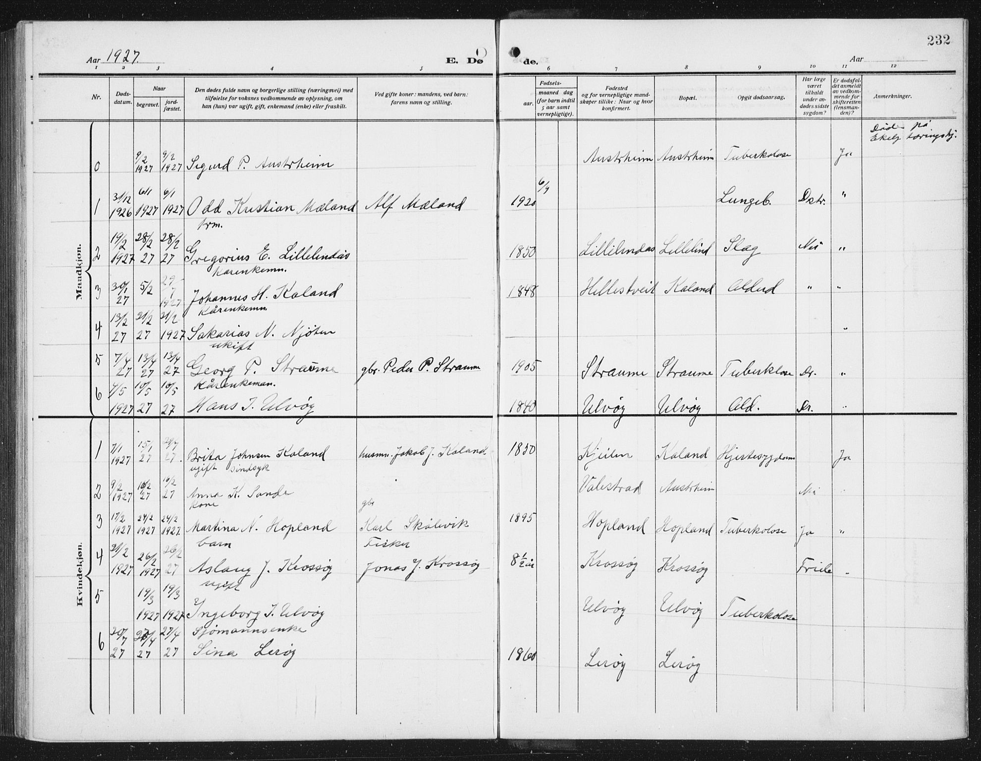 Lindås Sokneprestembete, SAB/A-76701/H/Hab: Parish register (copy) no. C 5, 1910-1927, p. 232