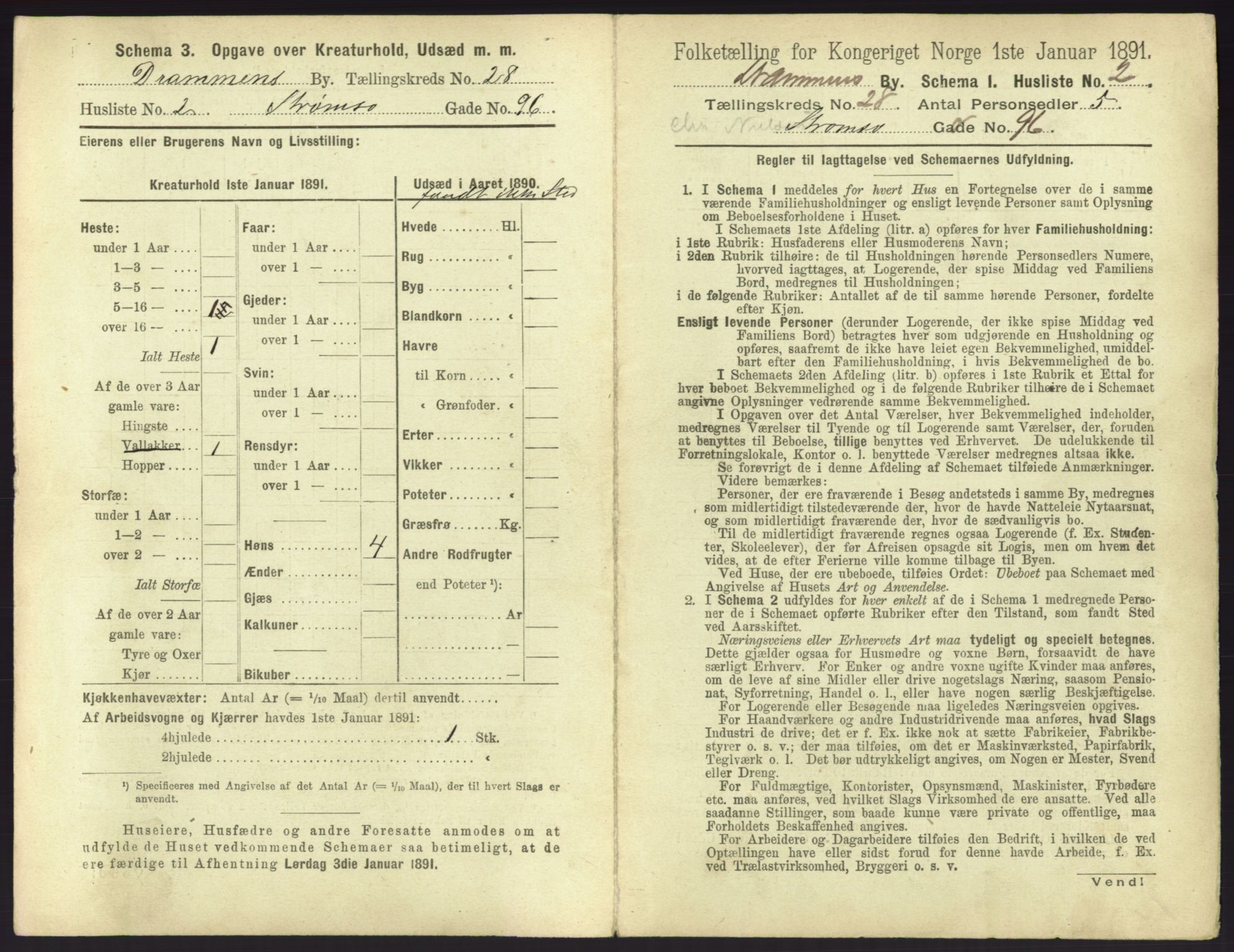 RA, 1891 census for 0602 Drammen, 1891, p. 2355