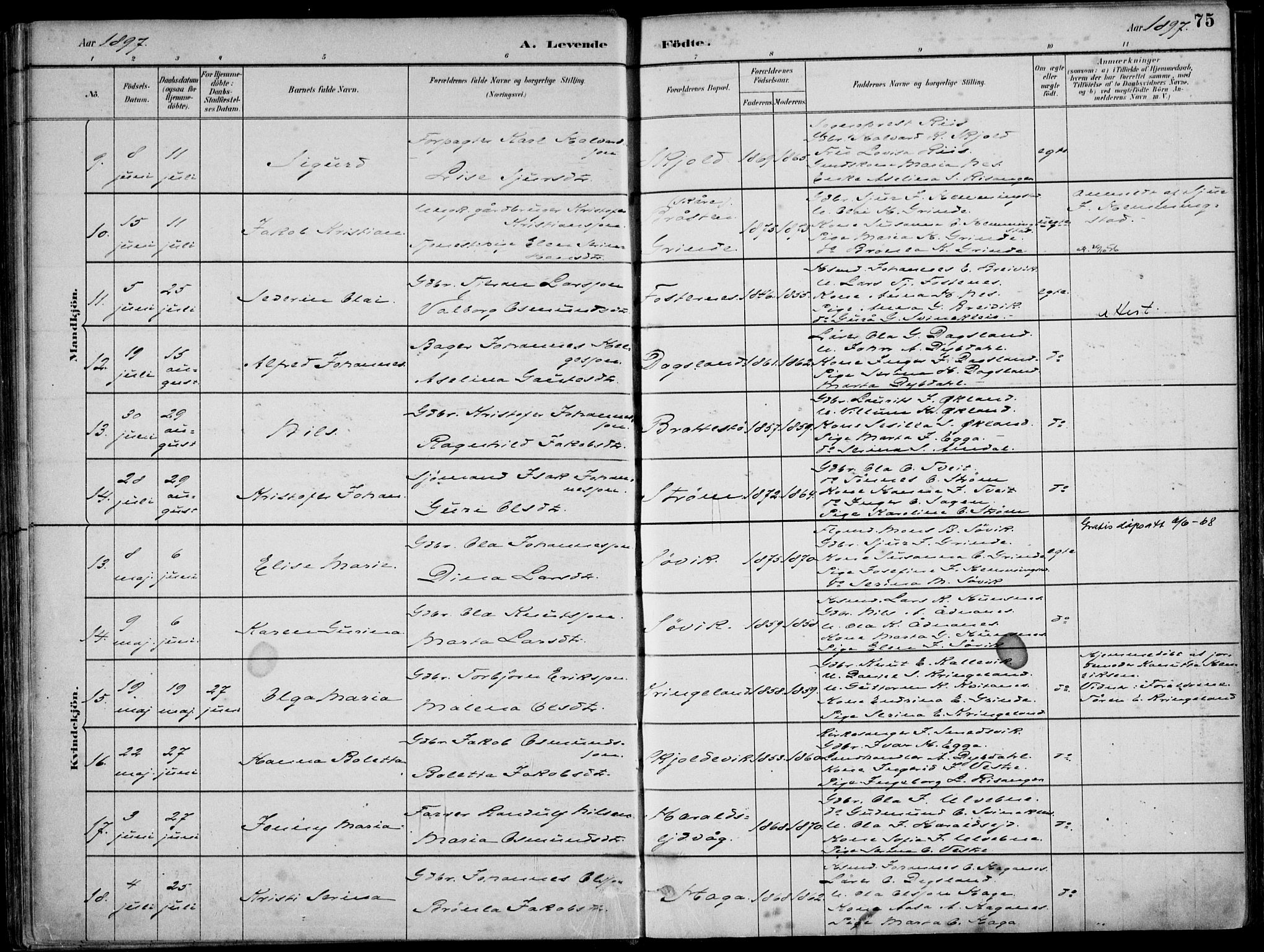 Skjold sokneprestkontor, SAST/A-101847/H/Ha/Haa/L0010: Parish register (official) no. A 10, 1882-1897, p. 75