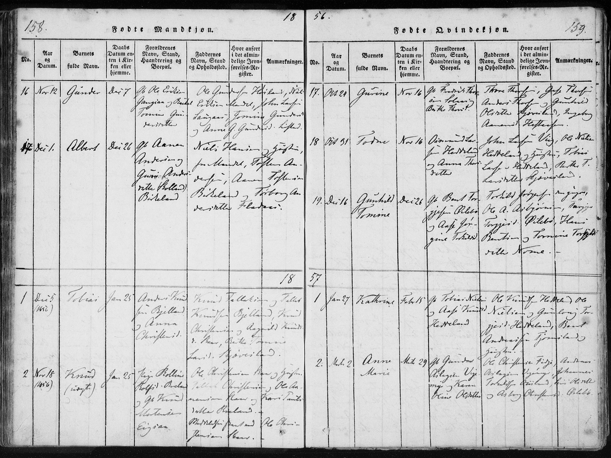 Holum sokneprestkontor, AV/SAK-1111-0022/F/Fa/Fac/L0002: Parish register (official) no. A 2, 1821-1859, p. 158-159